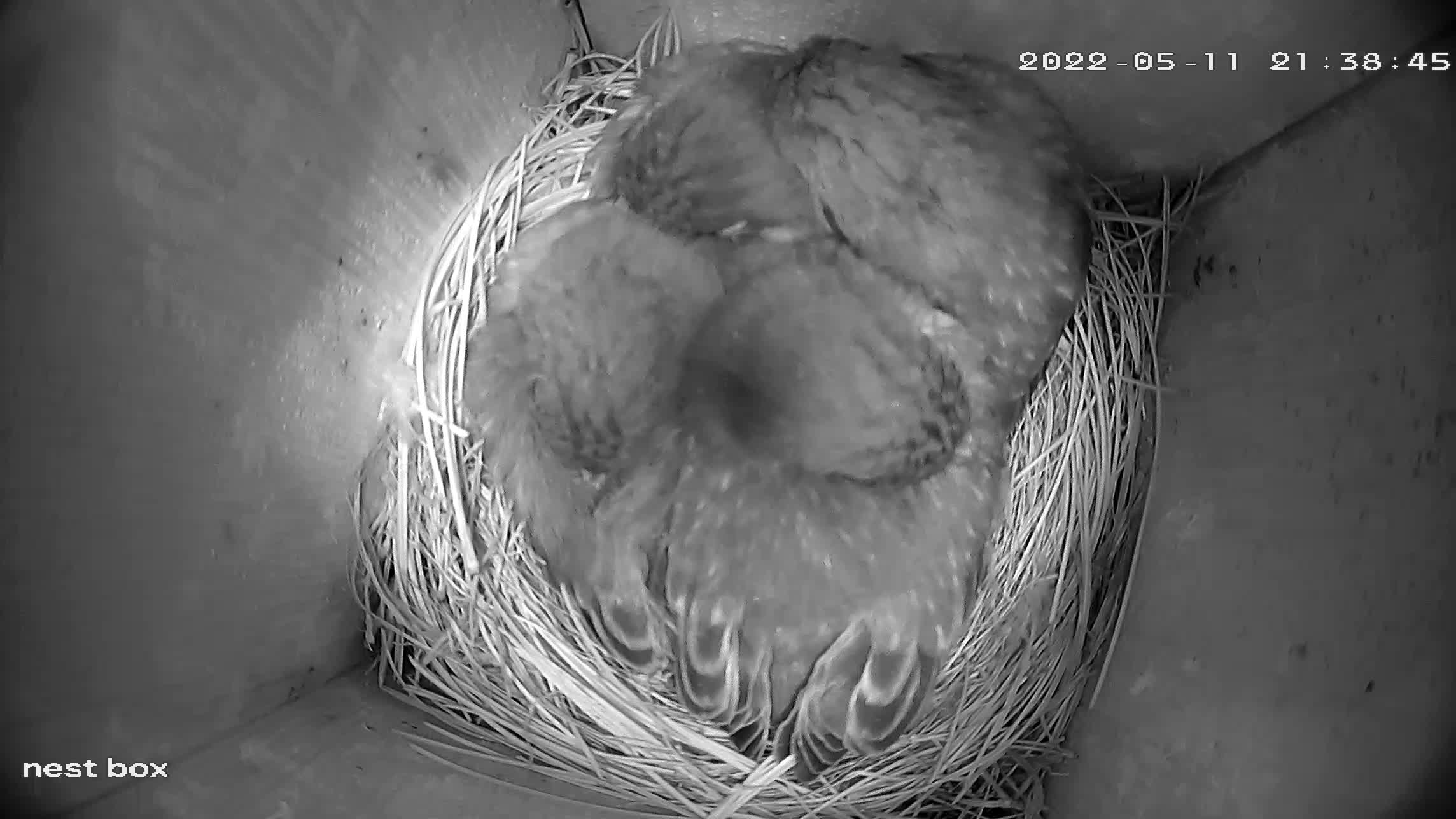 Last night together.