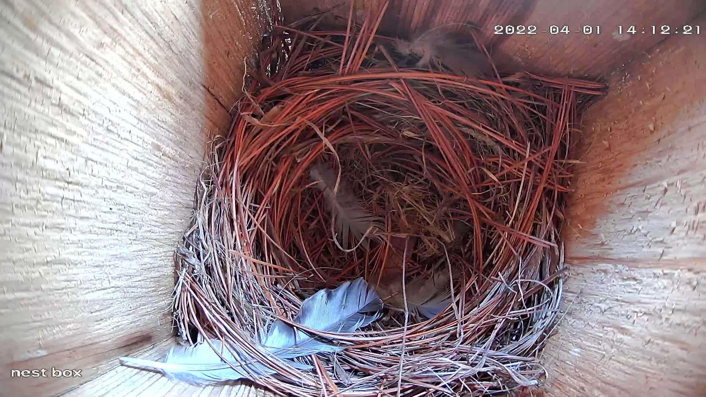 And the process repeats.