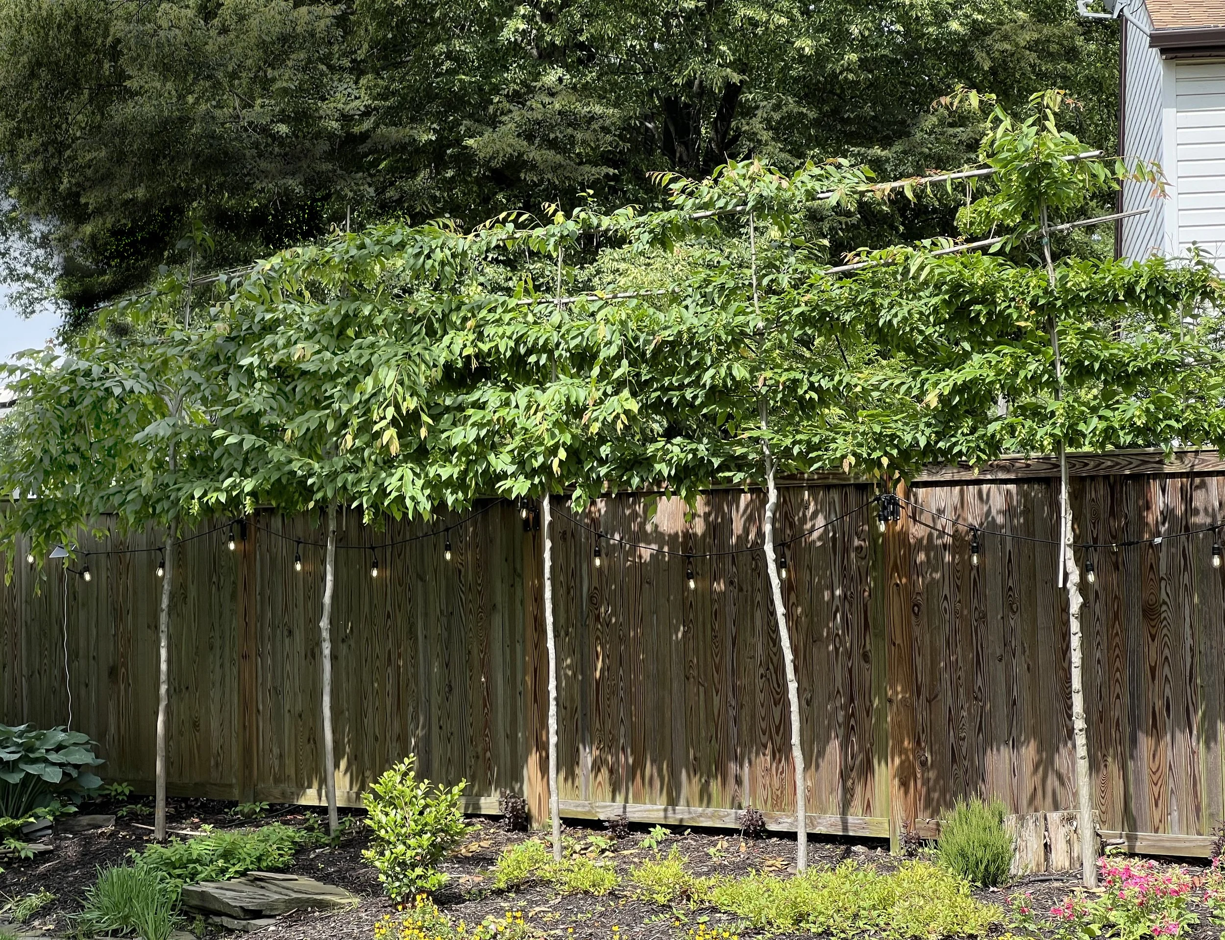 Screening Above a Fence