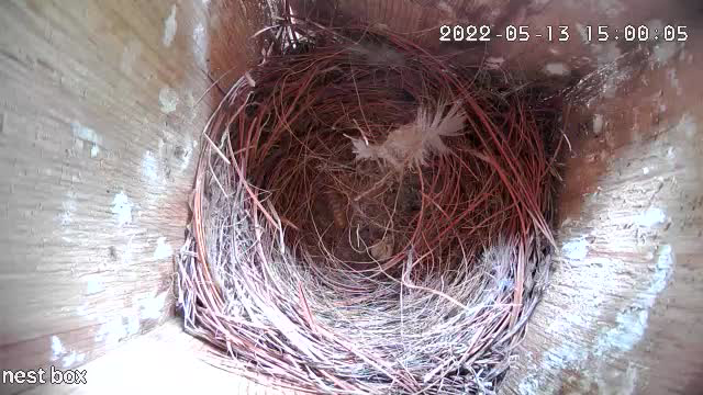 They left a mess on the walls!