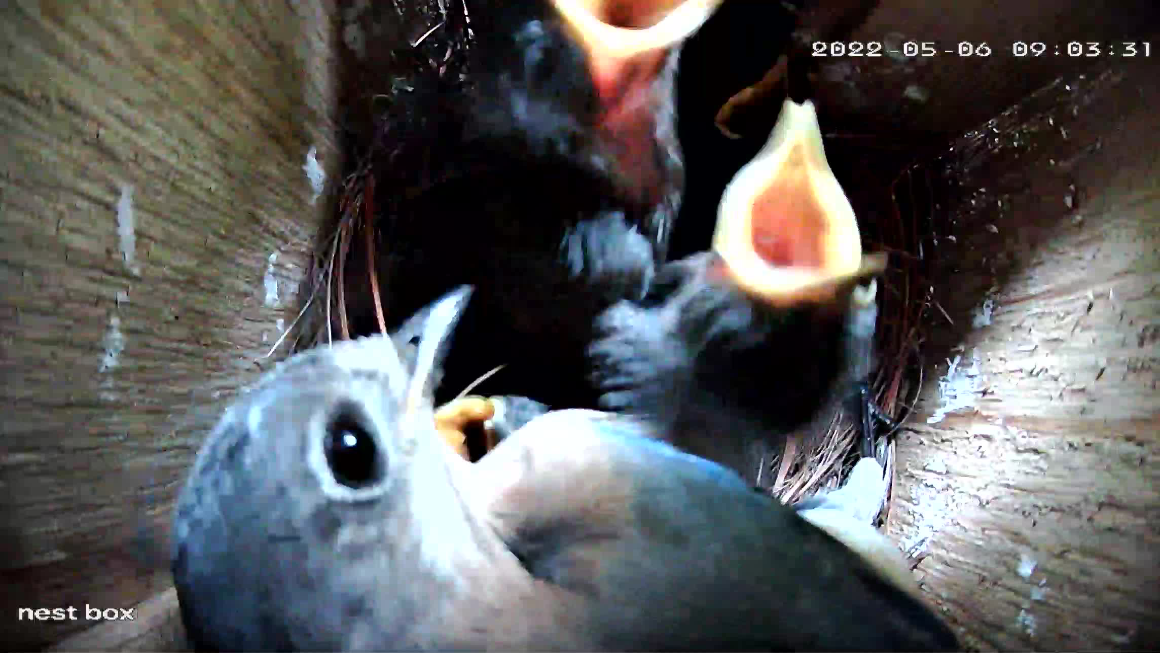 2022-05-06 09.33.08.png