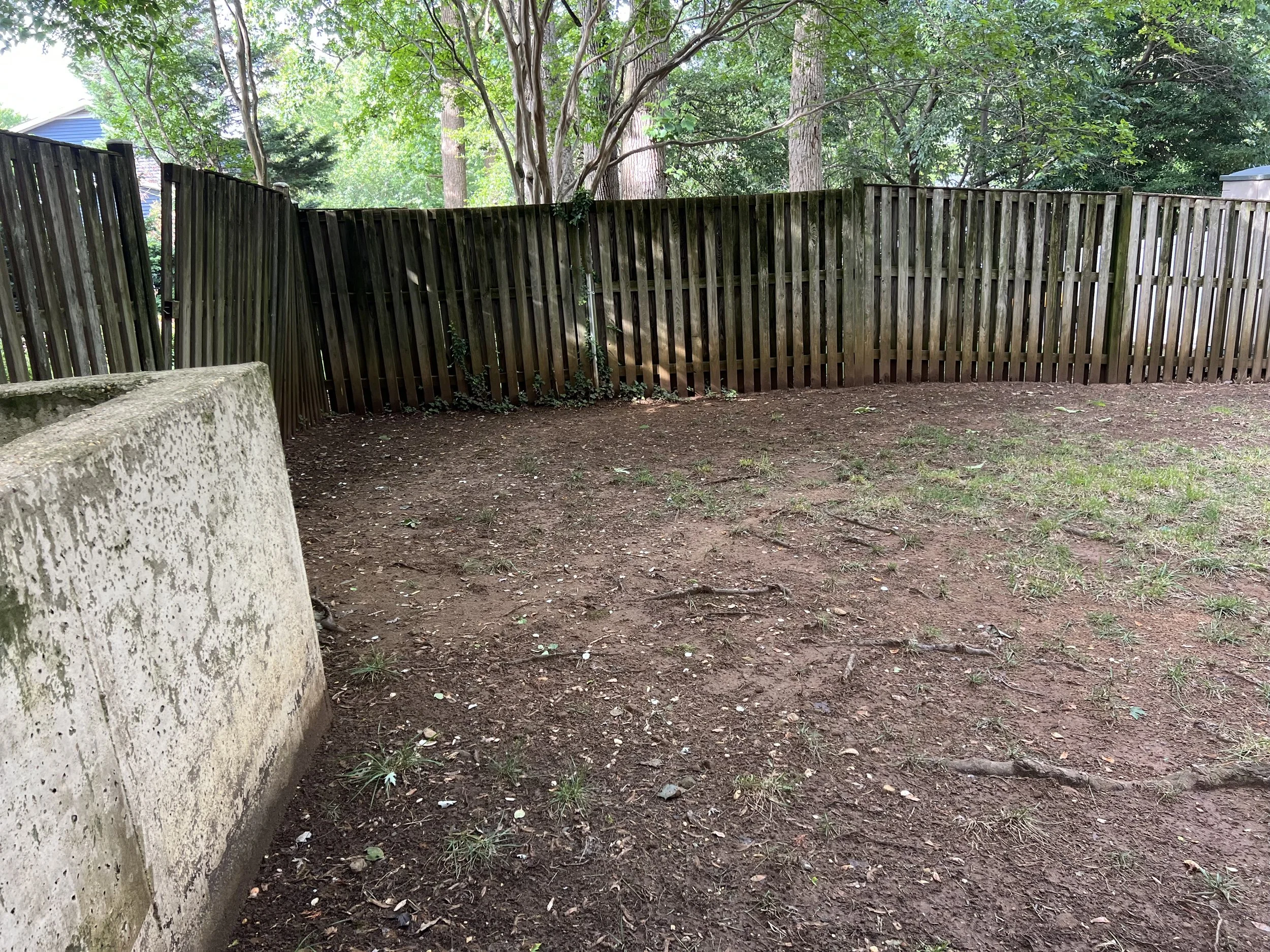 Exhibit B:   Look at the mid-left side of this photo.  The ground appears smooth and nothing grows in this space.  Let's look around the corner.