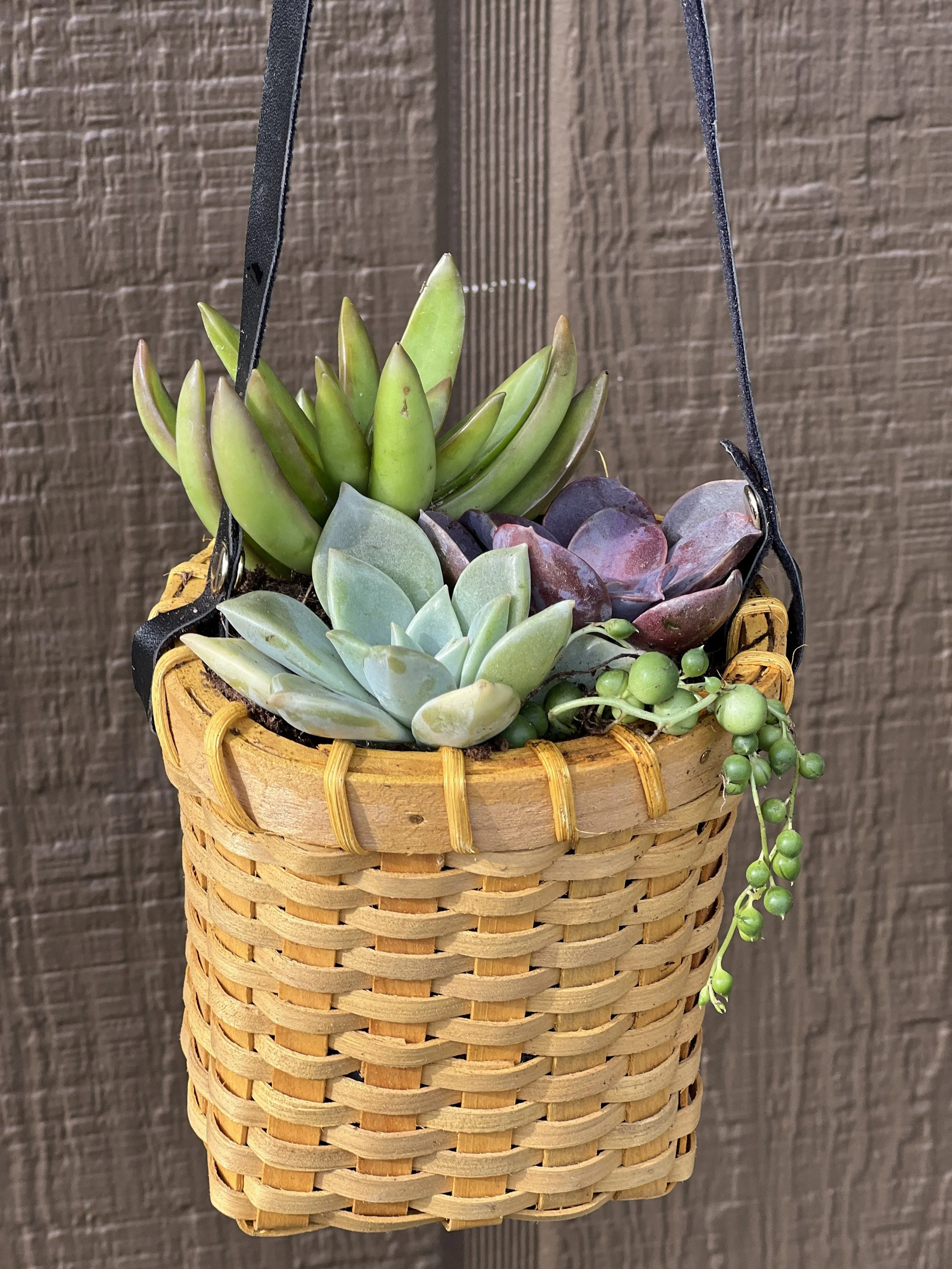 Door Knob Hanger - Set of 3