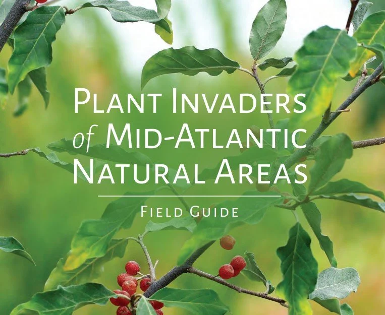 A wonderful field guide to invasive plants.