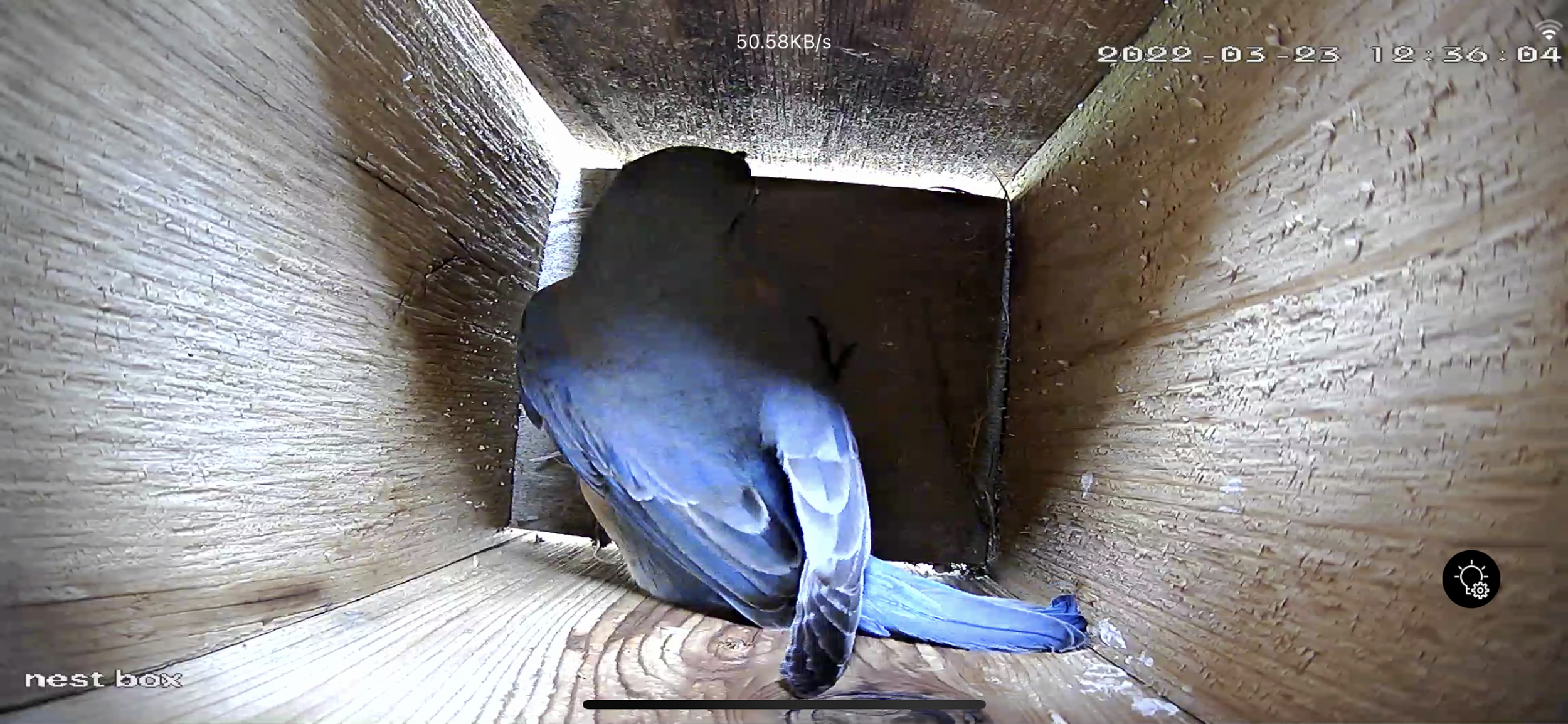 Time to start building!