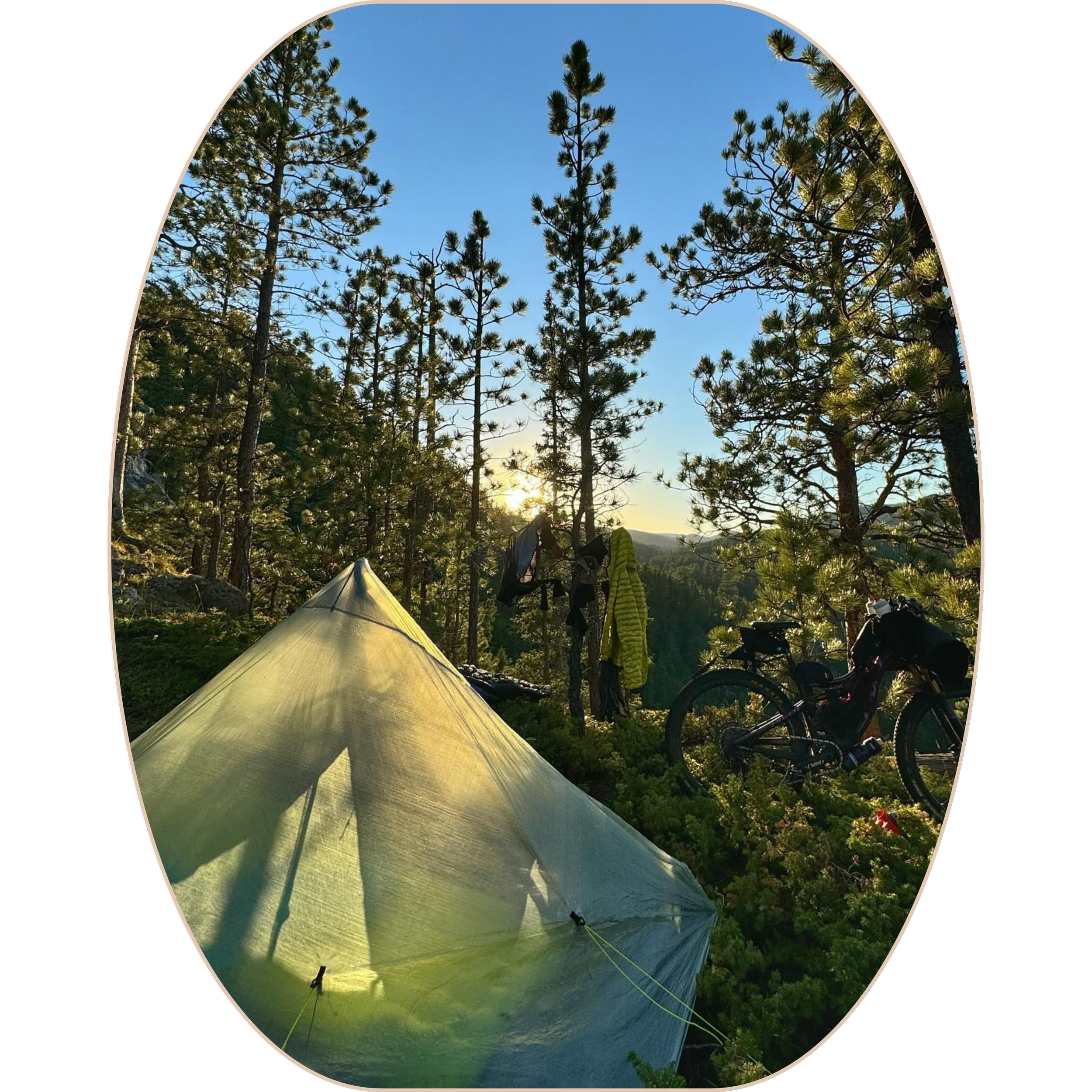 A camping scene in a forest with tall pine trees, a green tent, a mountain bike, and clothing hanging on a tree, with the sun setting behind the trees.