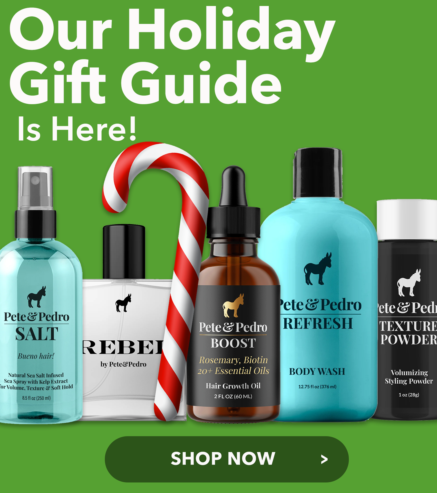 gift guide email campaign