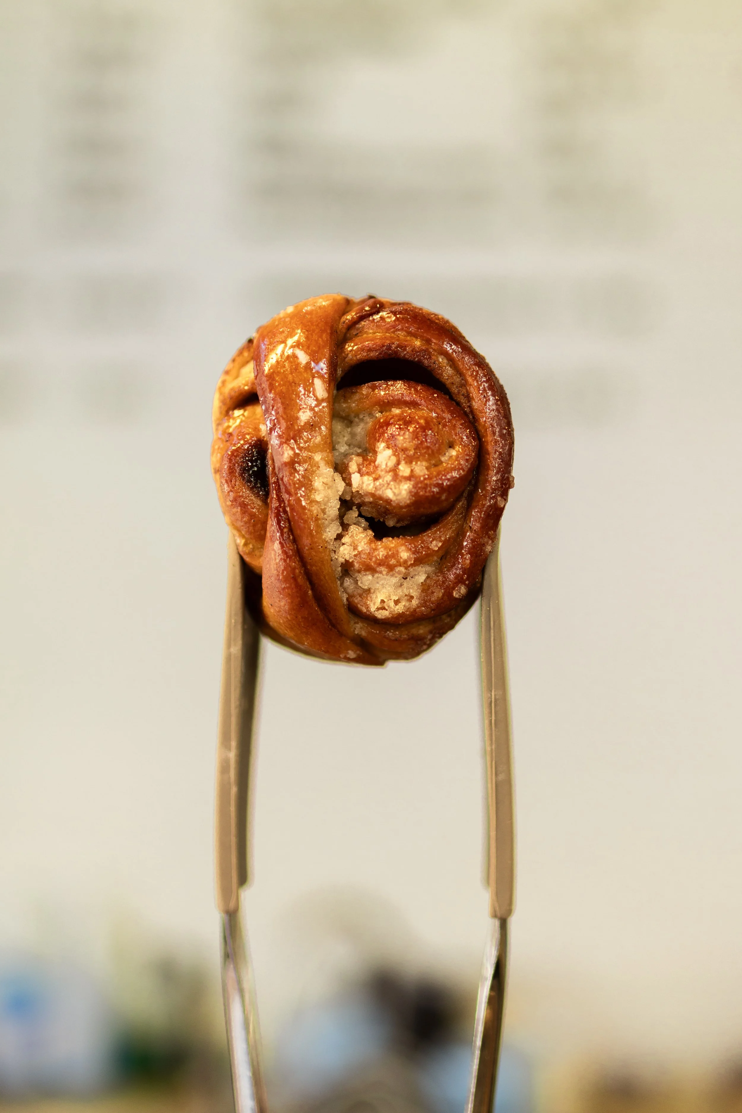 2Y8A0958-115.jpg