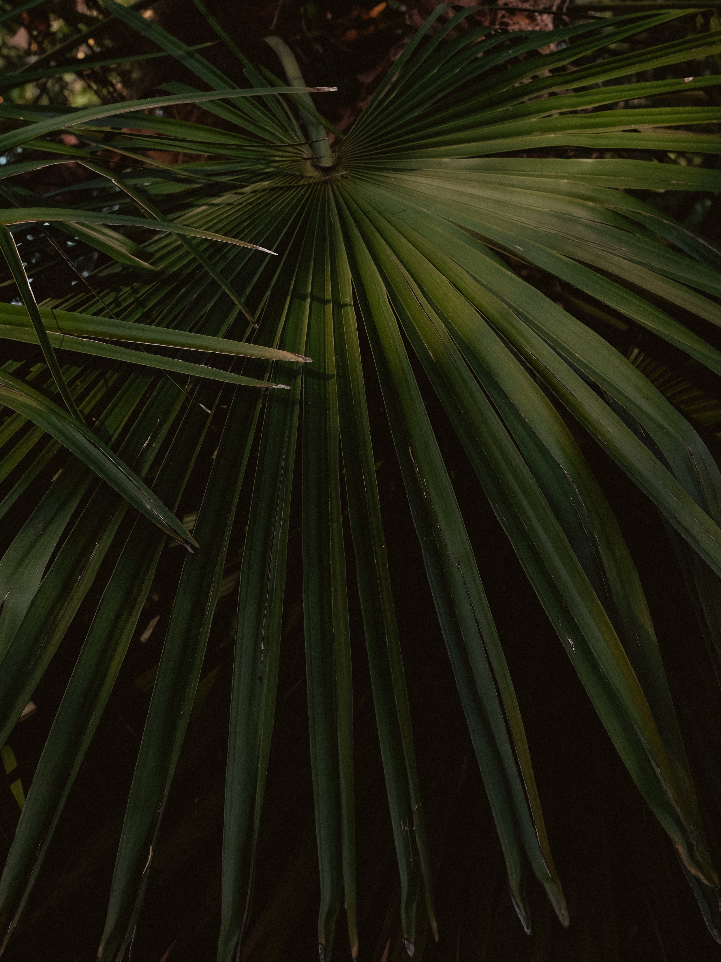 7DF8BED5-F4B1-468F-BAB0-B26D2E3D95D4.jpg
