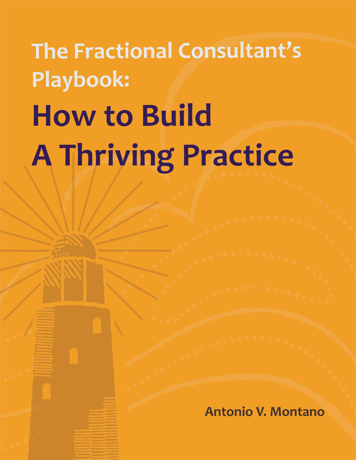 Fractional Consultant's Playbook