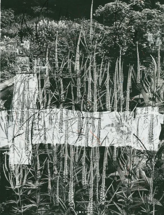Lara Faroqhi - No Straight Lines