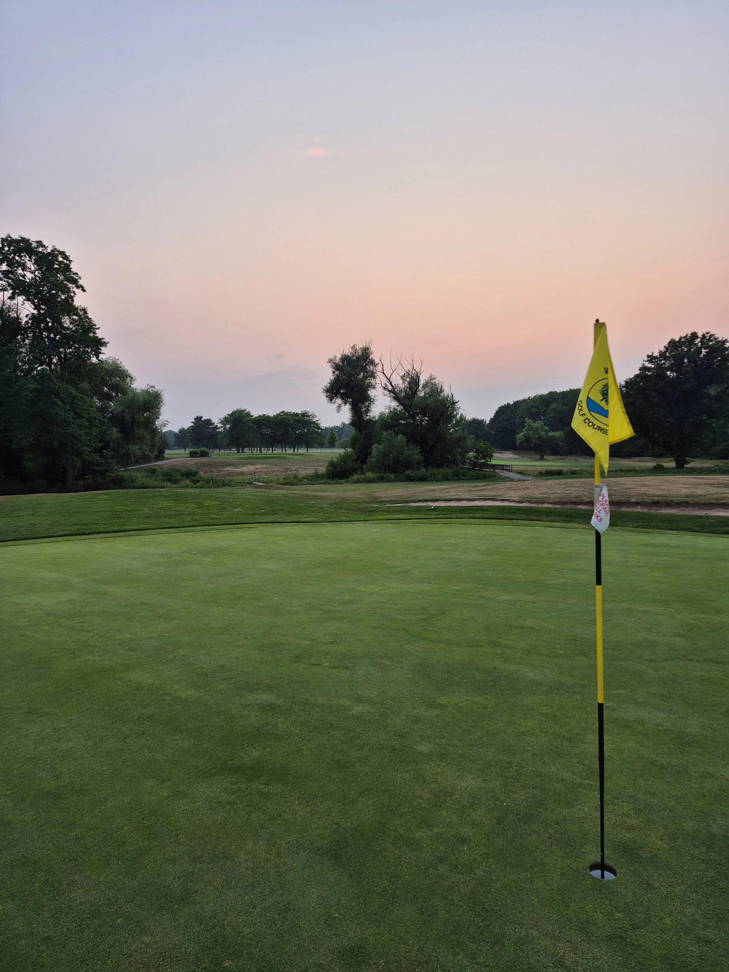 Golf course green with flagstick and hole, trees in the background, and a pink and blue sky at dusk.