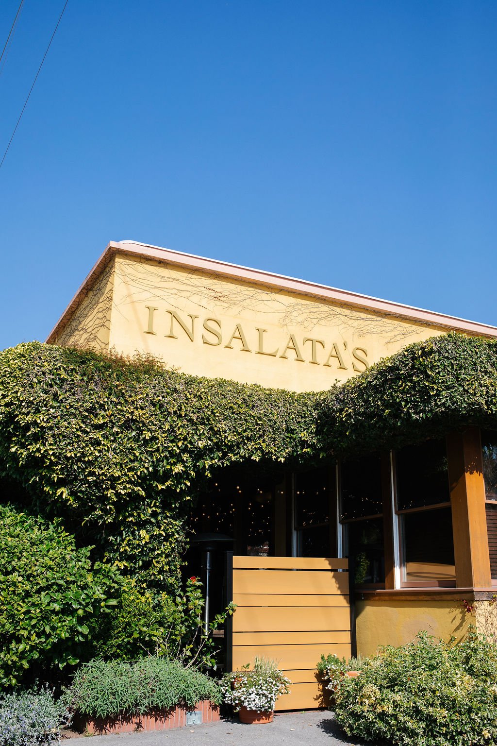 Insalata's