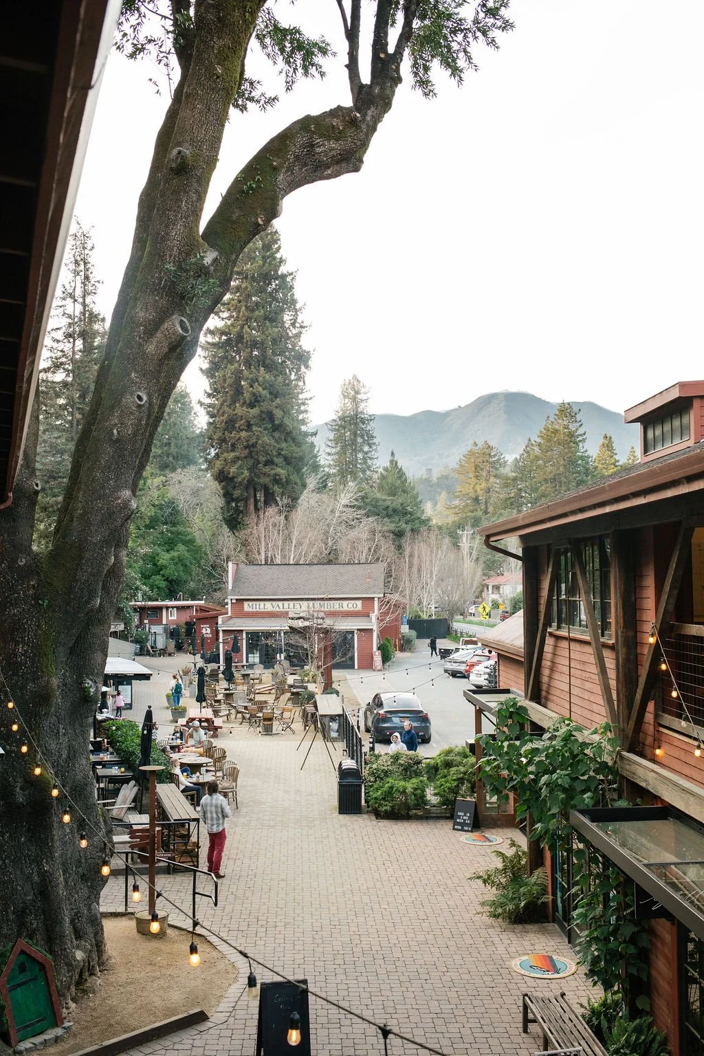 Mill Valley