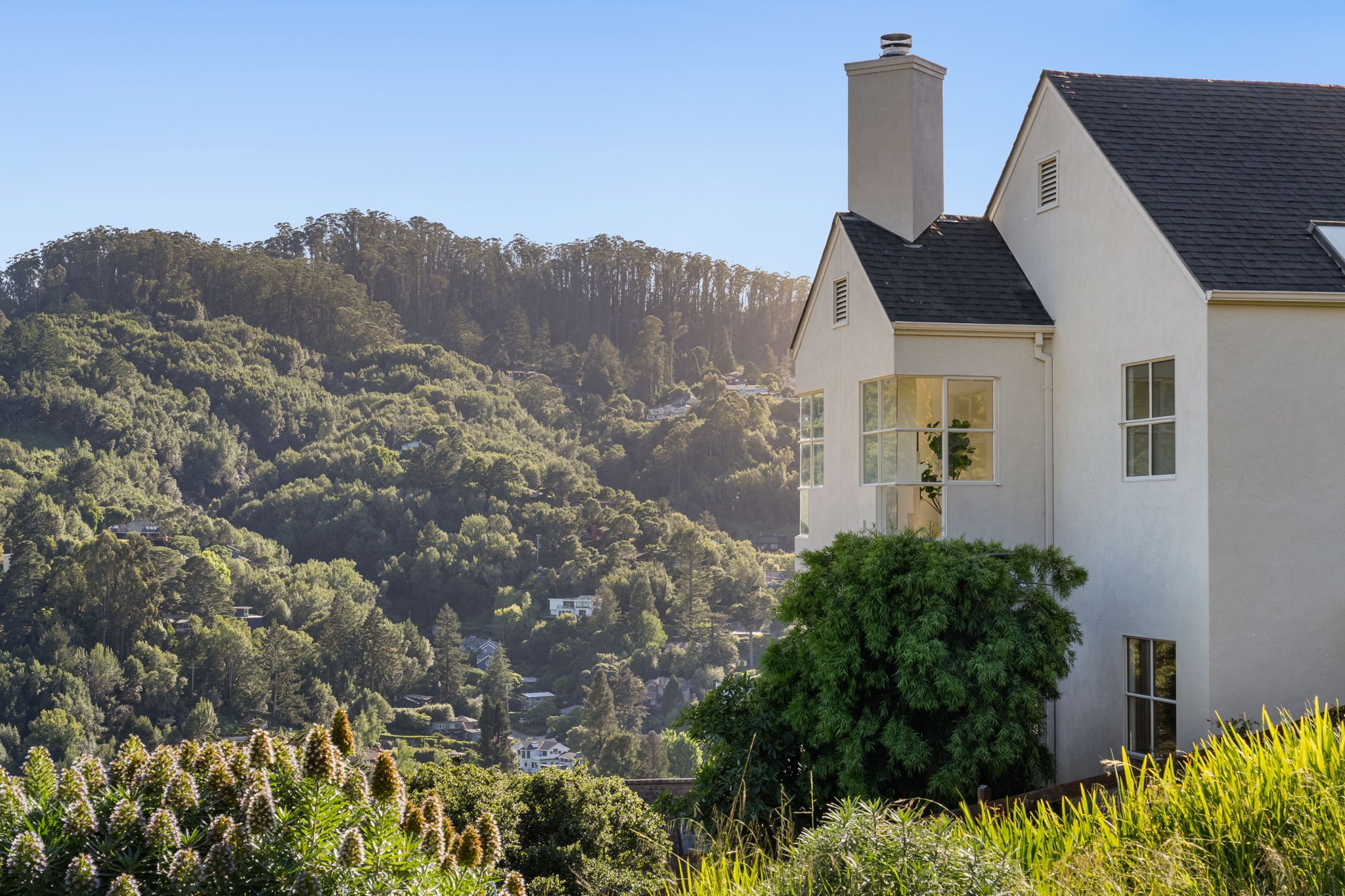 385 Dolan Avenue, Mill Valley