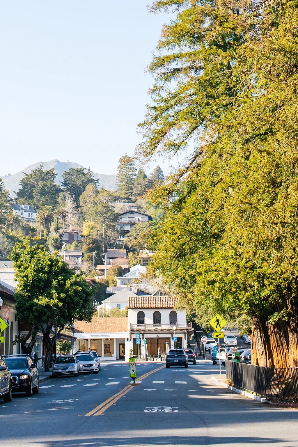 mill-valley-downtown-marin-county-the-house-real-estate-2.jpg