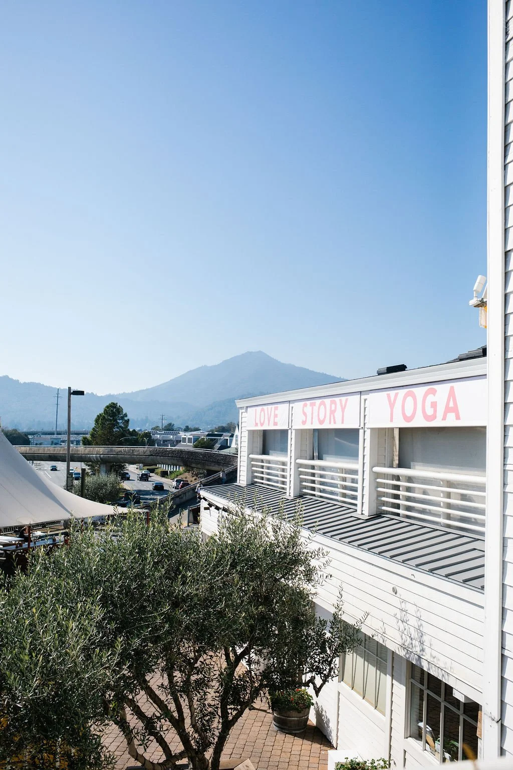 larkspur-country-mart-love-story-yoga-marin-county-the-house-real-estate.jpg