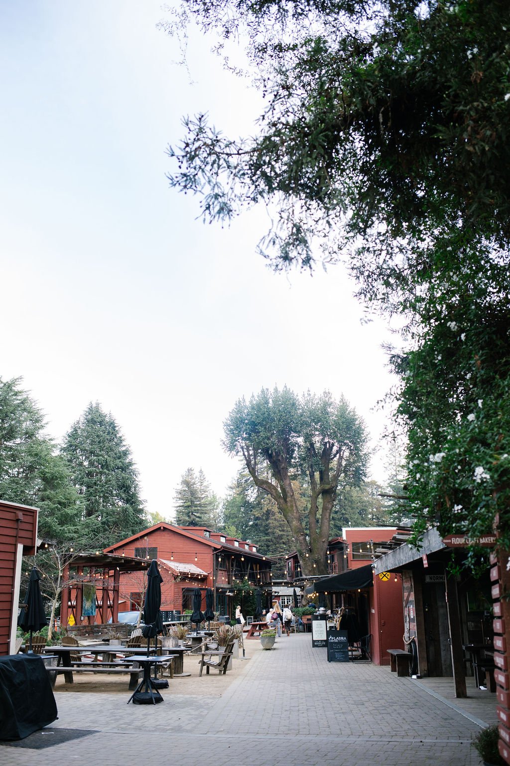 mill-valley-lumber-yard-downtown-marin-county-the-house-real-estate-2.jpg