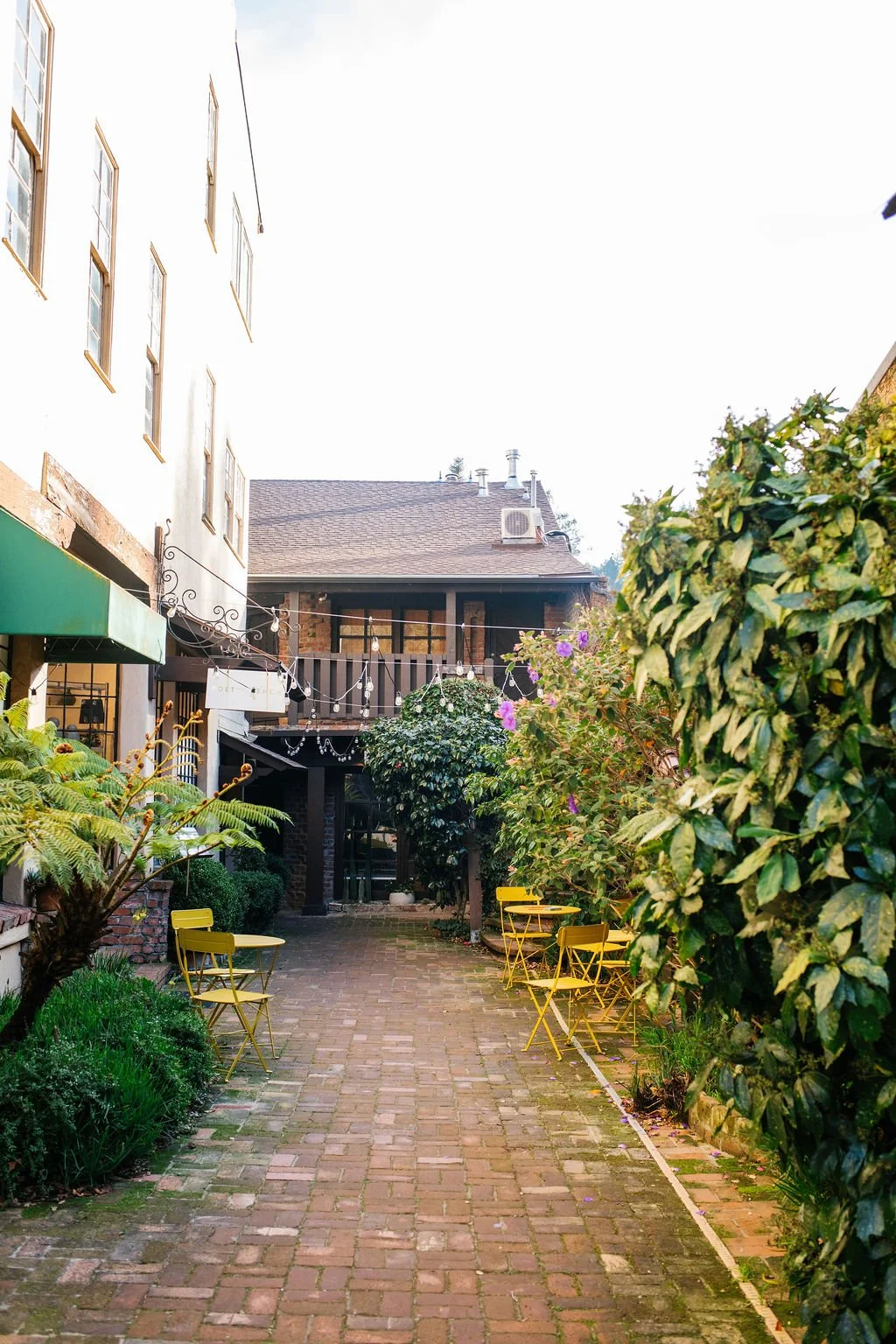 mill-valley-downtown-marin-county-the-house-real-estate-4.jpg