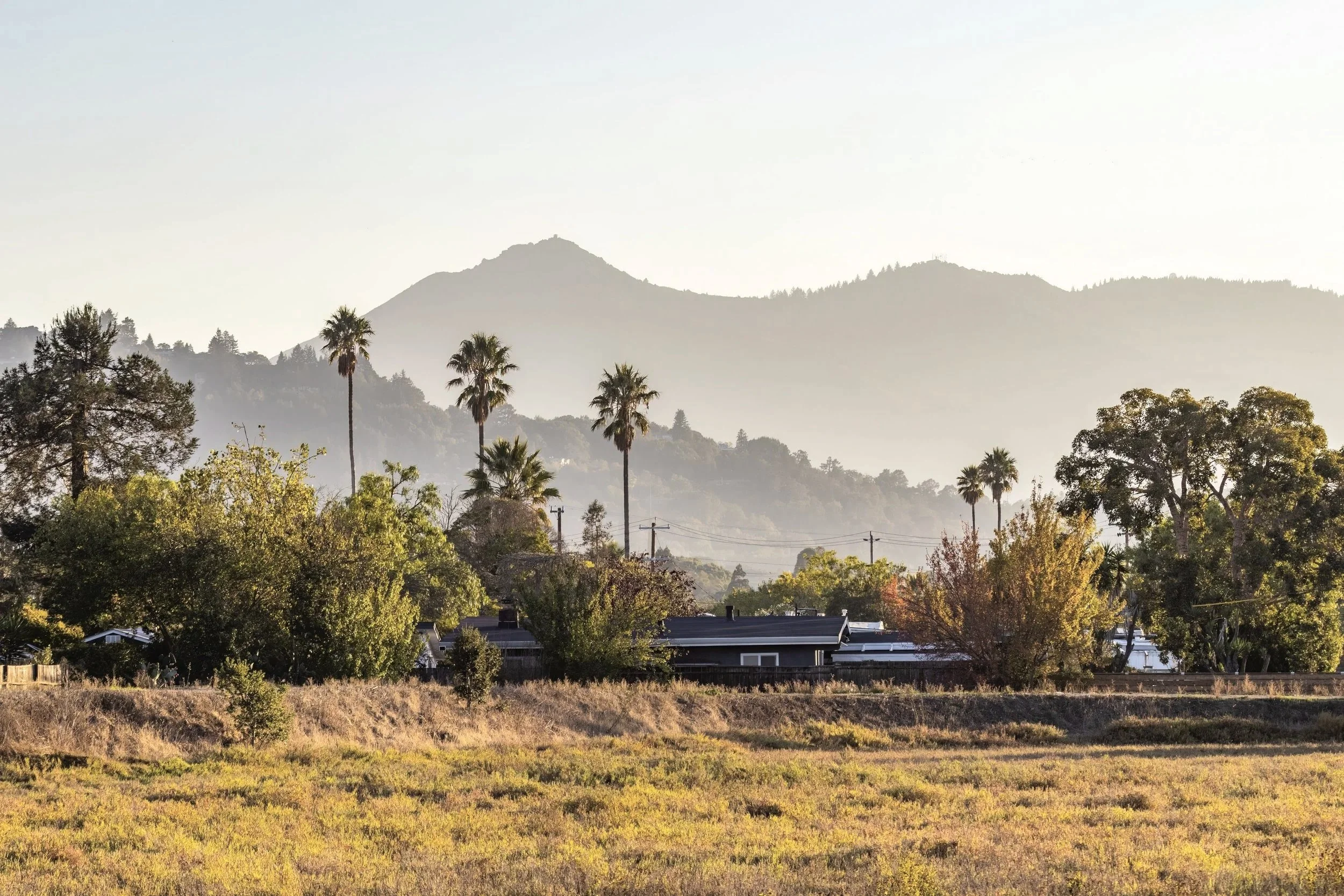 Novato