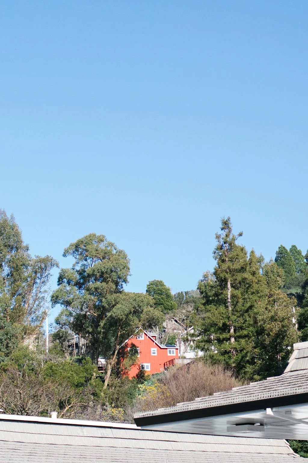 fairfax-downtown-theater-marin-county-the-house-real-estate-3.jpg