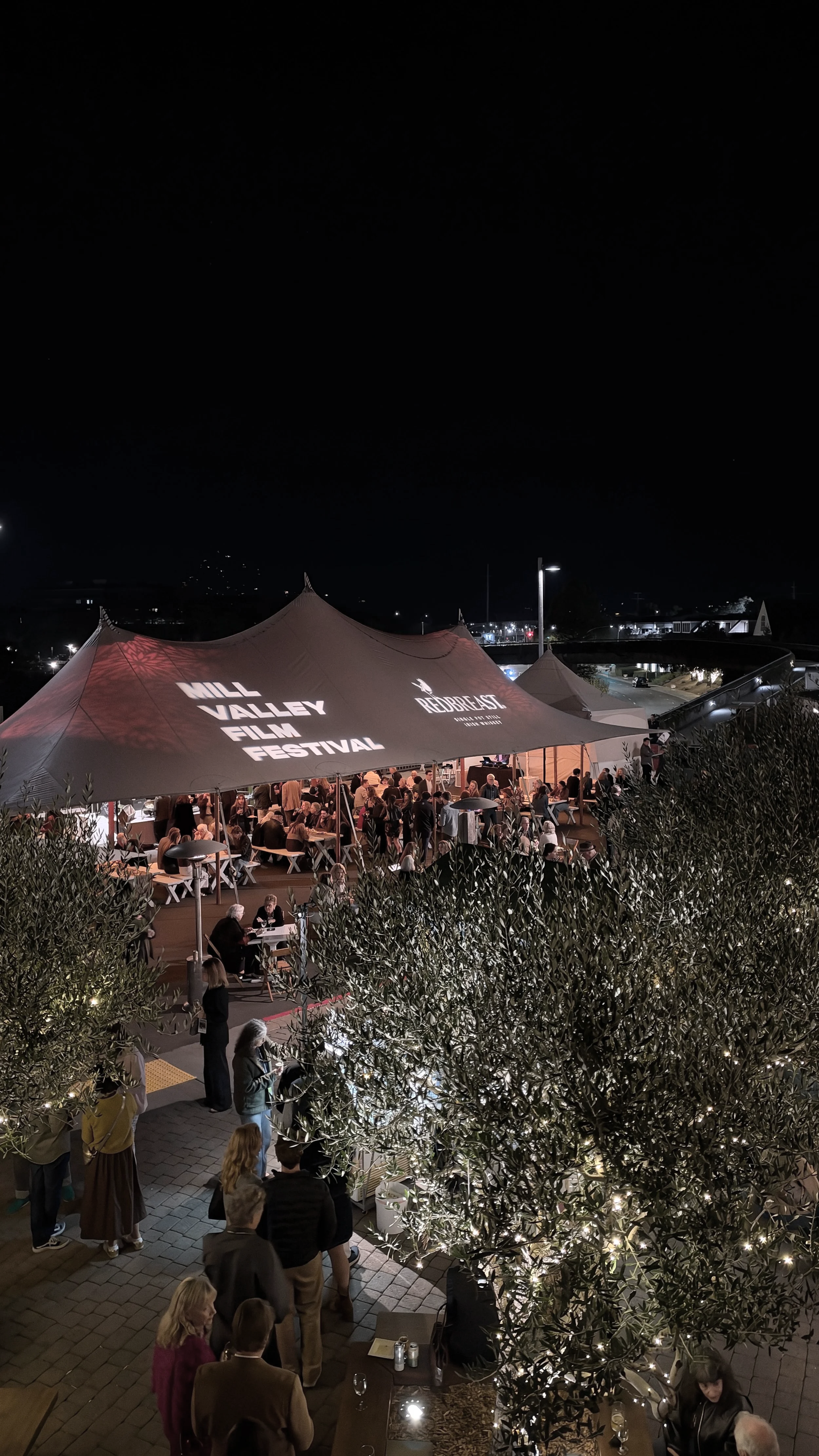 The Best Seat in Town: Mill Valley Film Festival, MVFF49