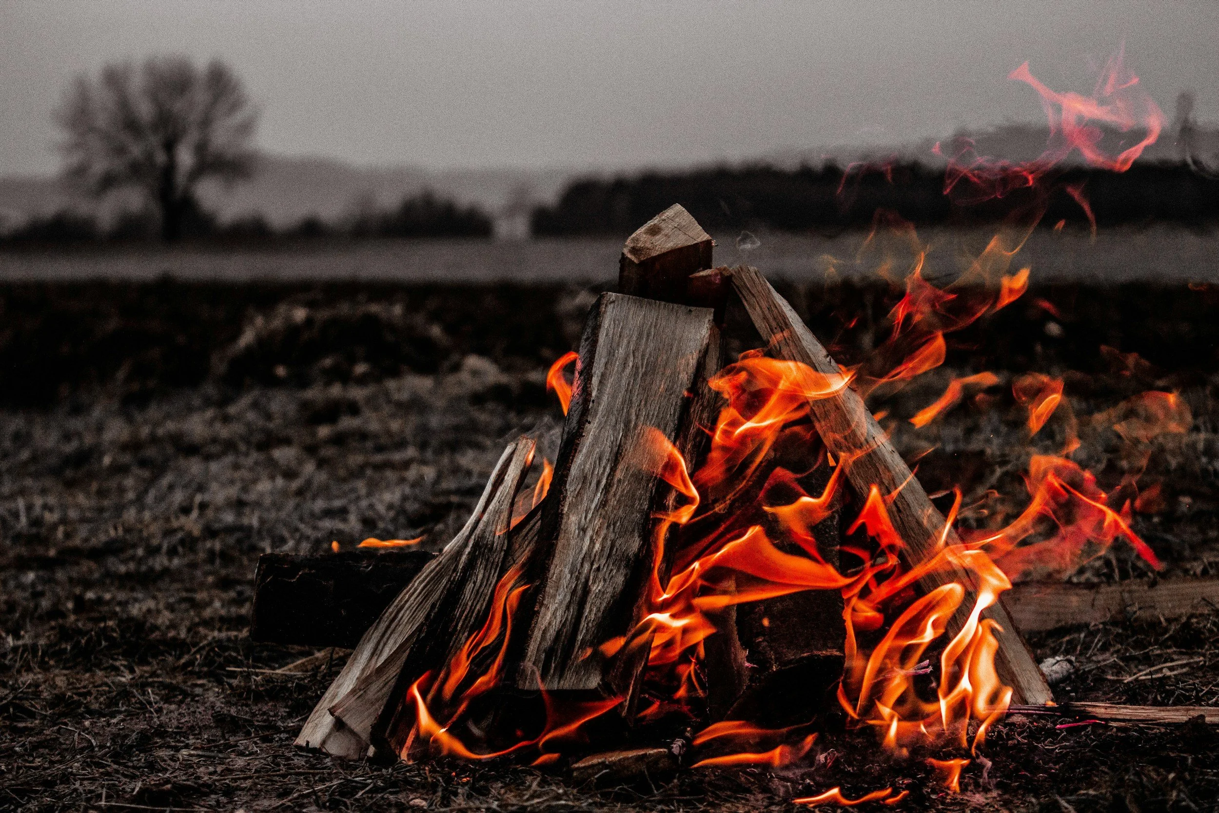 Keep the Fire Alive: How to Spot Your Passion and What Keeps It Burning