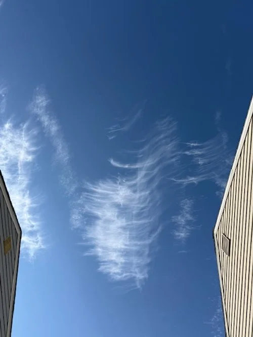 What I Have Learned From My Darkest Days