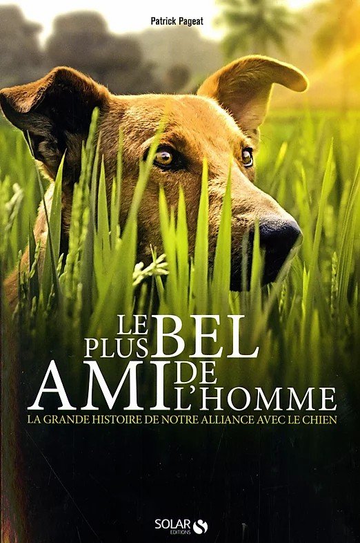 Couverture d'un livre montrant un chien dans l'herbe verte, avec le titre 'Le plus bel ami de l'homme' et un sous-titre sur la relation entre l'homme et le chien.
