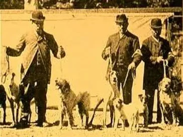 Trois hommes en manteaux et chapeaux avec des chiens en laisse dans un parc