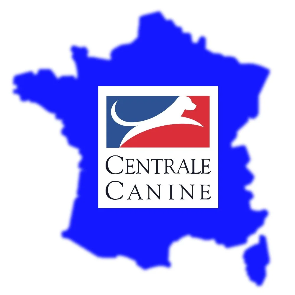 Un logo de la Centrale Canine superposé sur une silhouette floue de la carte de France, en couleurs bleu, blanc et rouge.