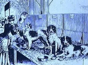 Une scène dans un laboratoire ou une clinique avec plusieurs personnes, dont des enfants, autour d'une table ou d'un comptoir, probablement en train de faire des expériences ou de manipuler des objets.