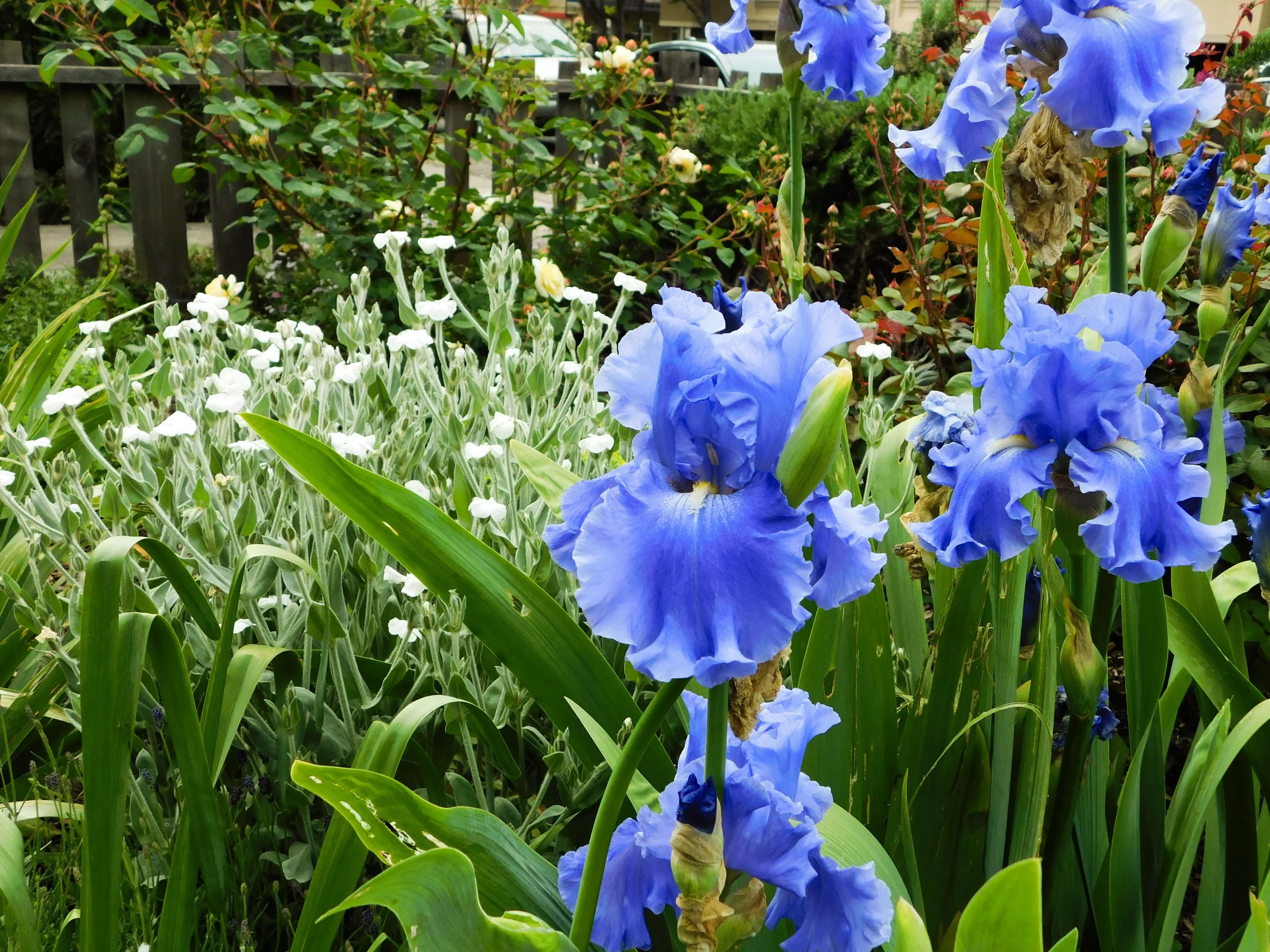 22-DSCN2228.jpg