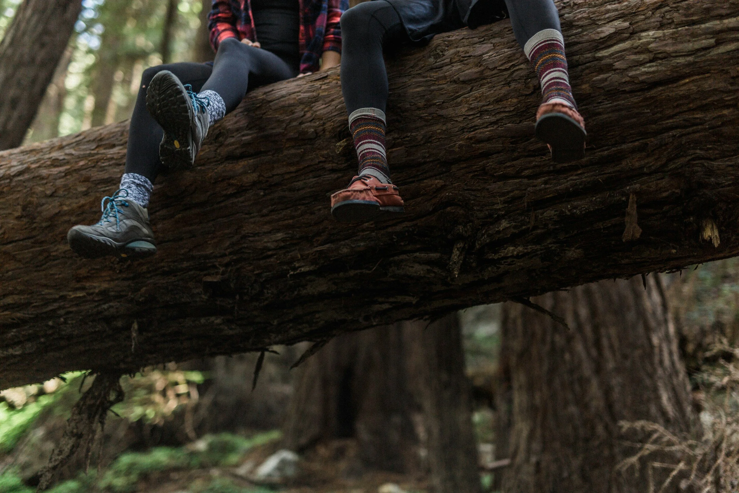 People sitting on a fallen tree in a forest, wearing outdoor footwear and clothing.