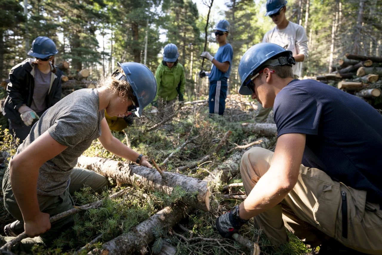 Group of people wearing blue helmets working together to clear fallen branches in a forest.