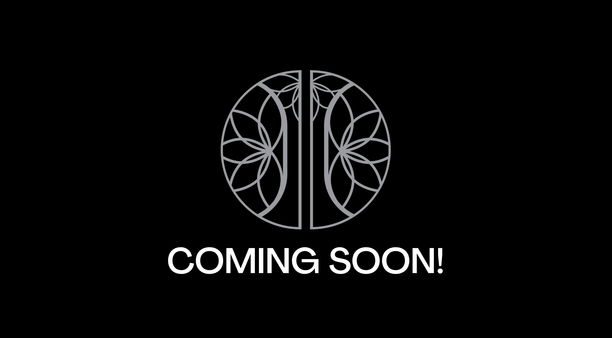 Screenshot 2025-07-30 at 2.24.15 PM.png