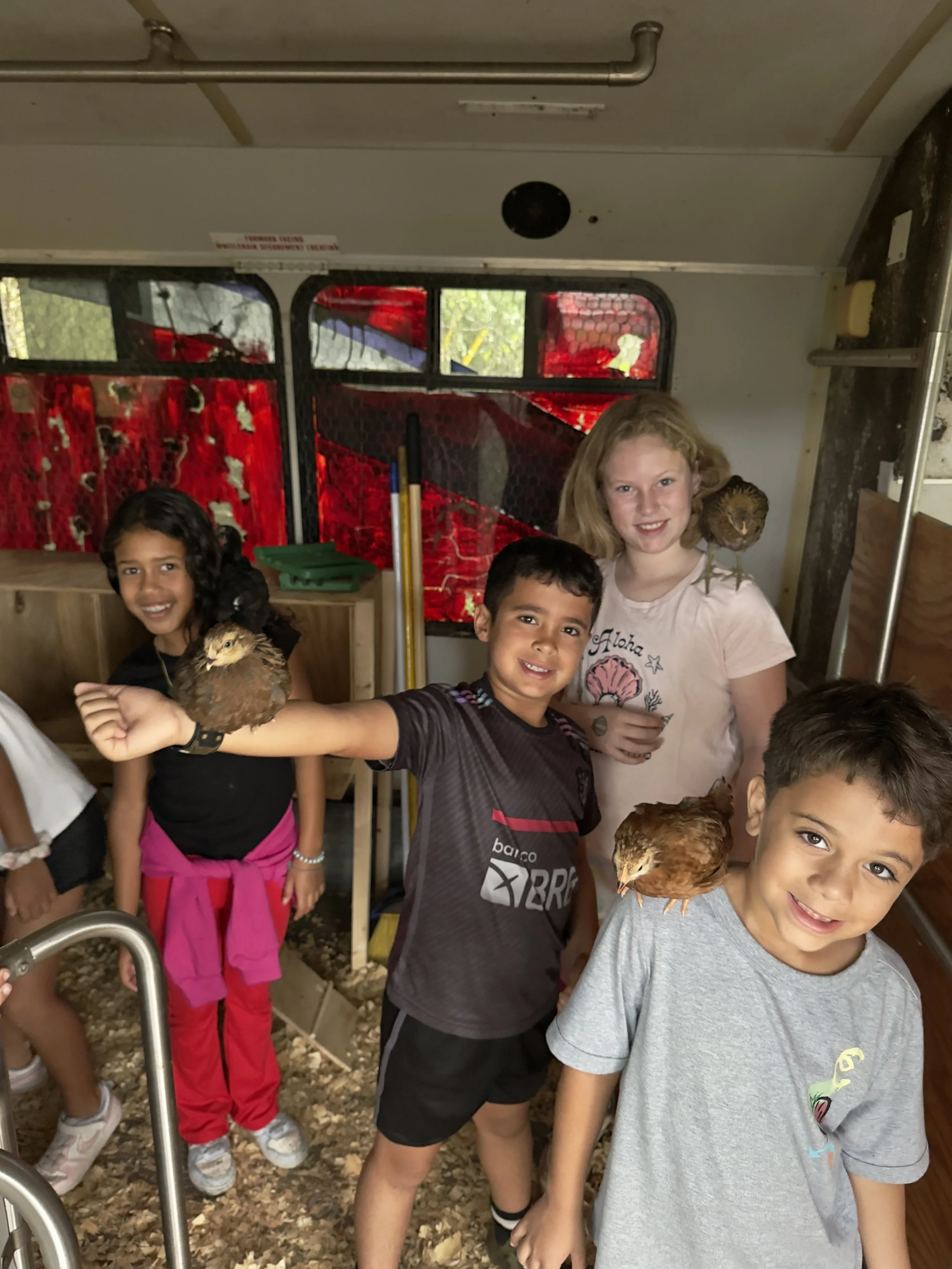 Children inside a coop holding baby chicks and chickens in their arms and on their shoulders.