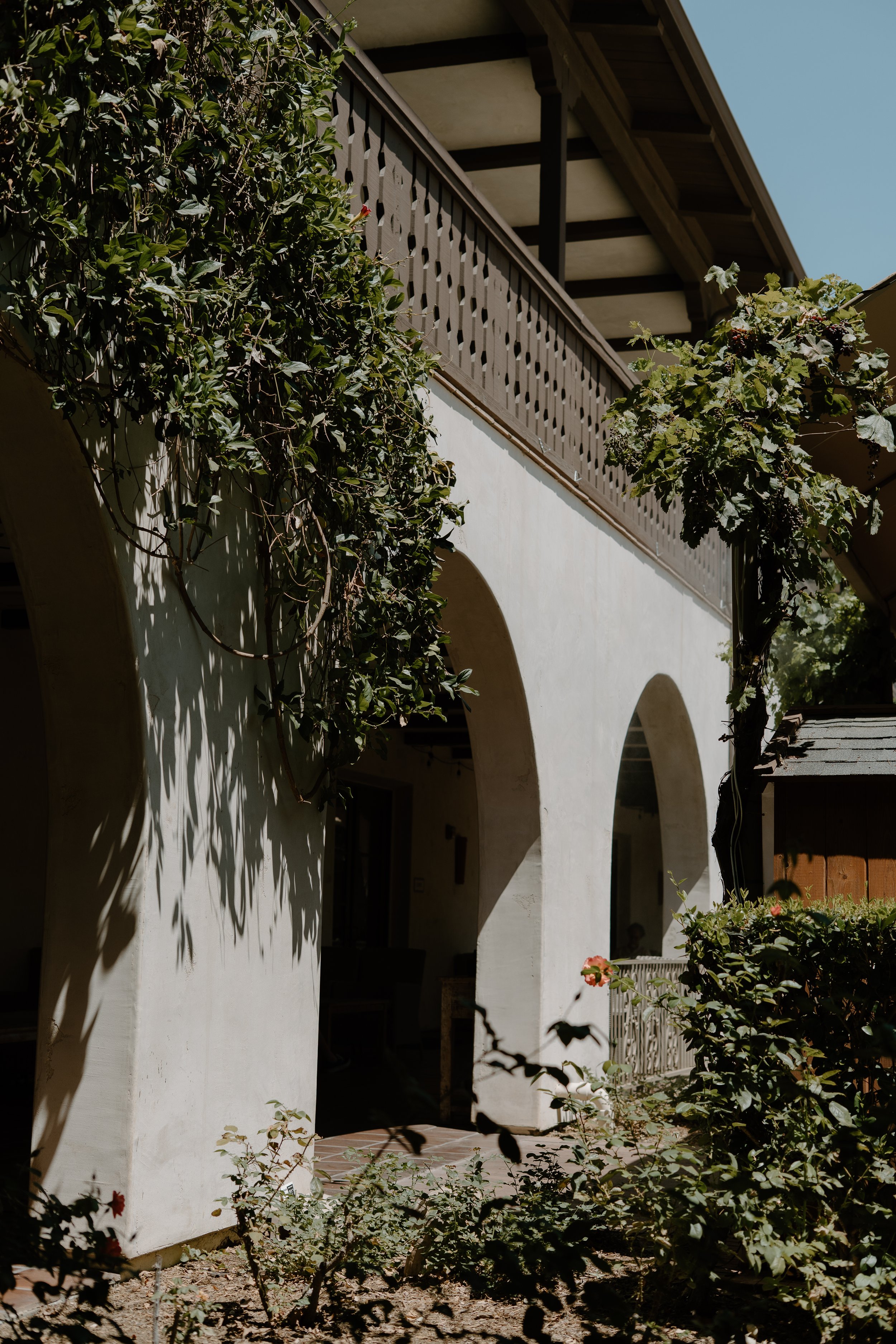Engagement- Ponte-winery-temecula.jpg