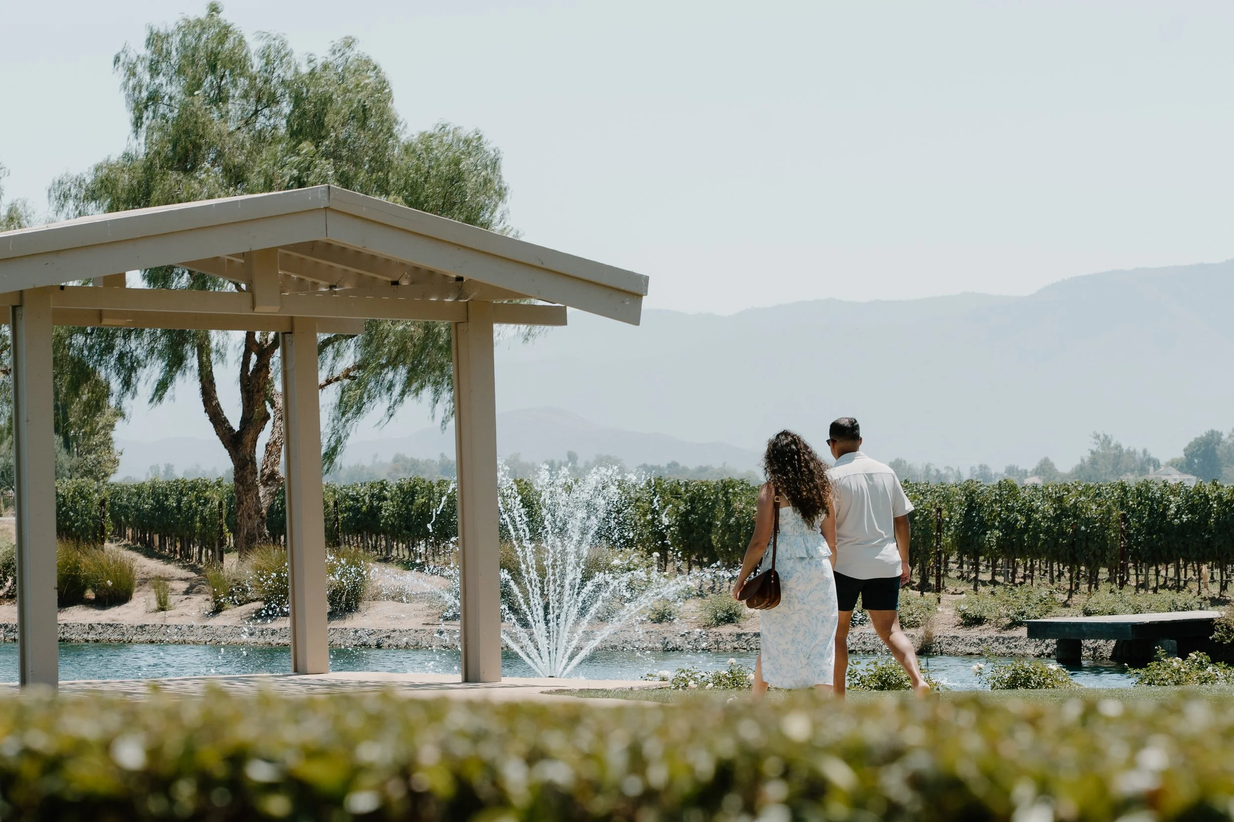 proposal-couple-at-ponte-winery.jpg