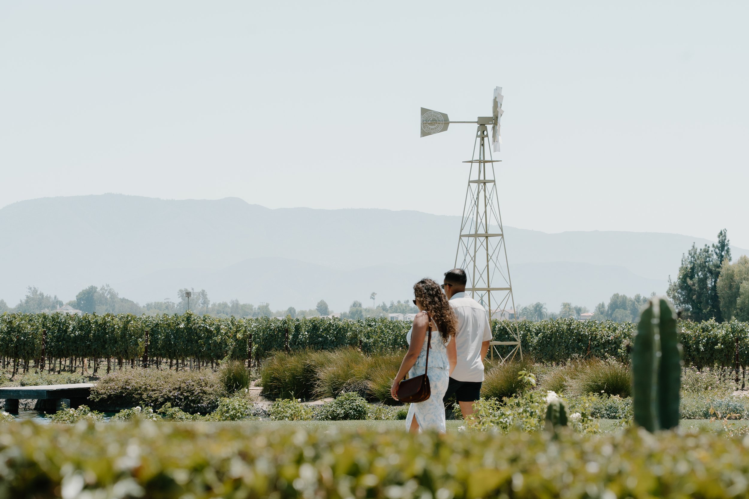 proposal-temecula-winery-couple-walking.jpg
