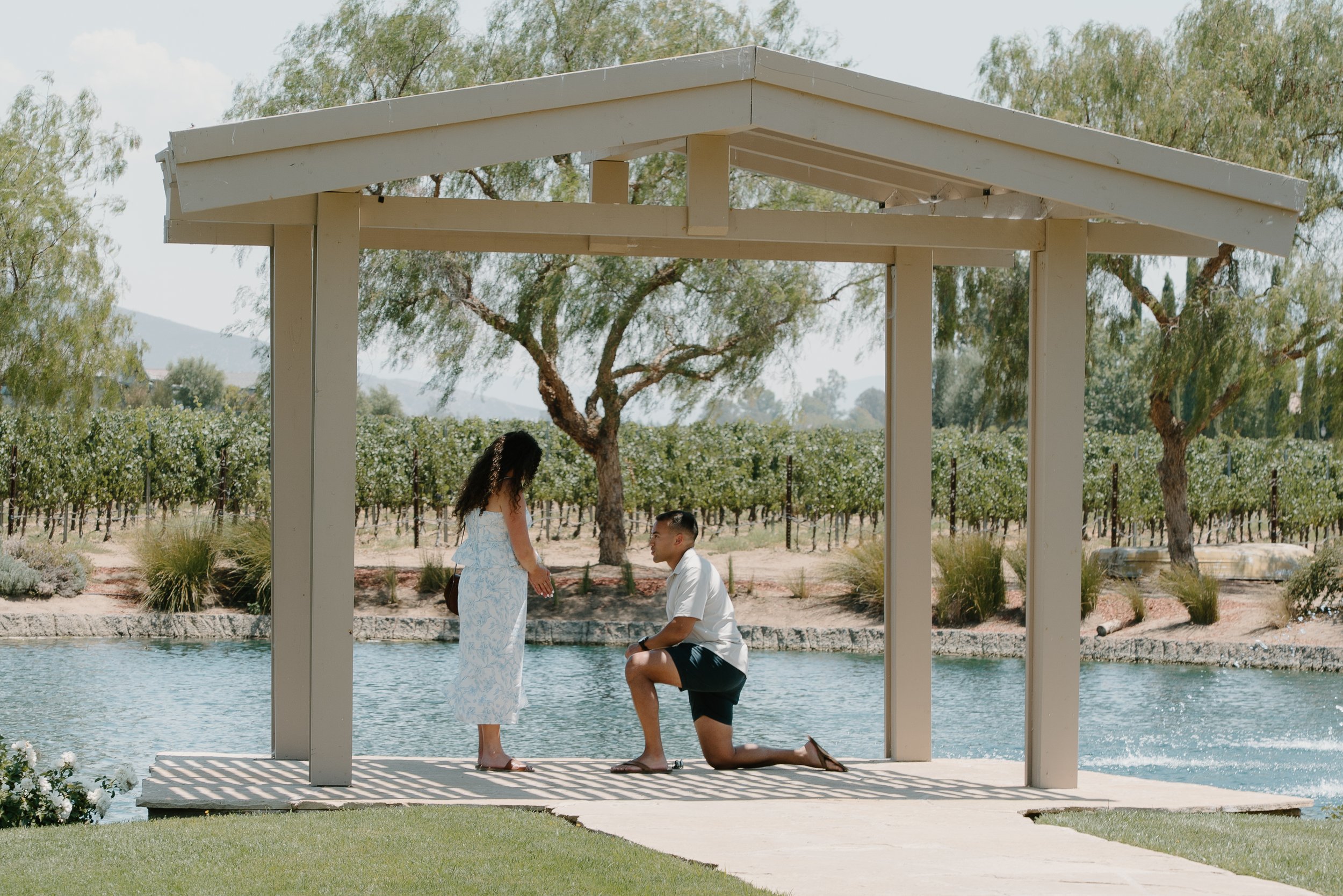 proposal-temecula-winery-man-on-one-knee.jpg
