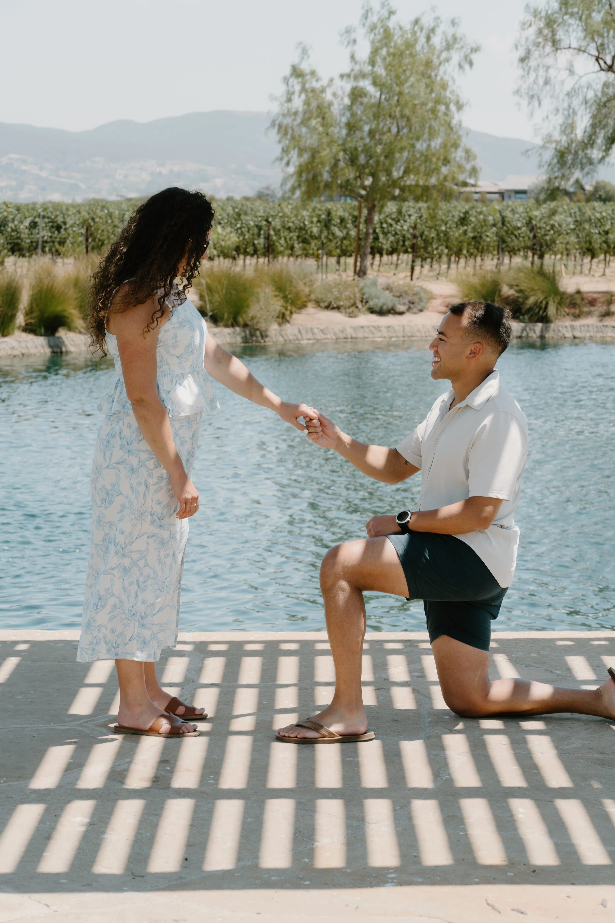 temecula-ponte-winery-proposal.jpg