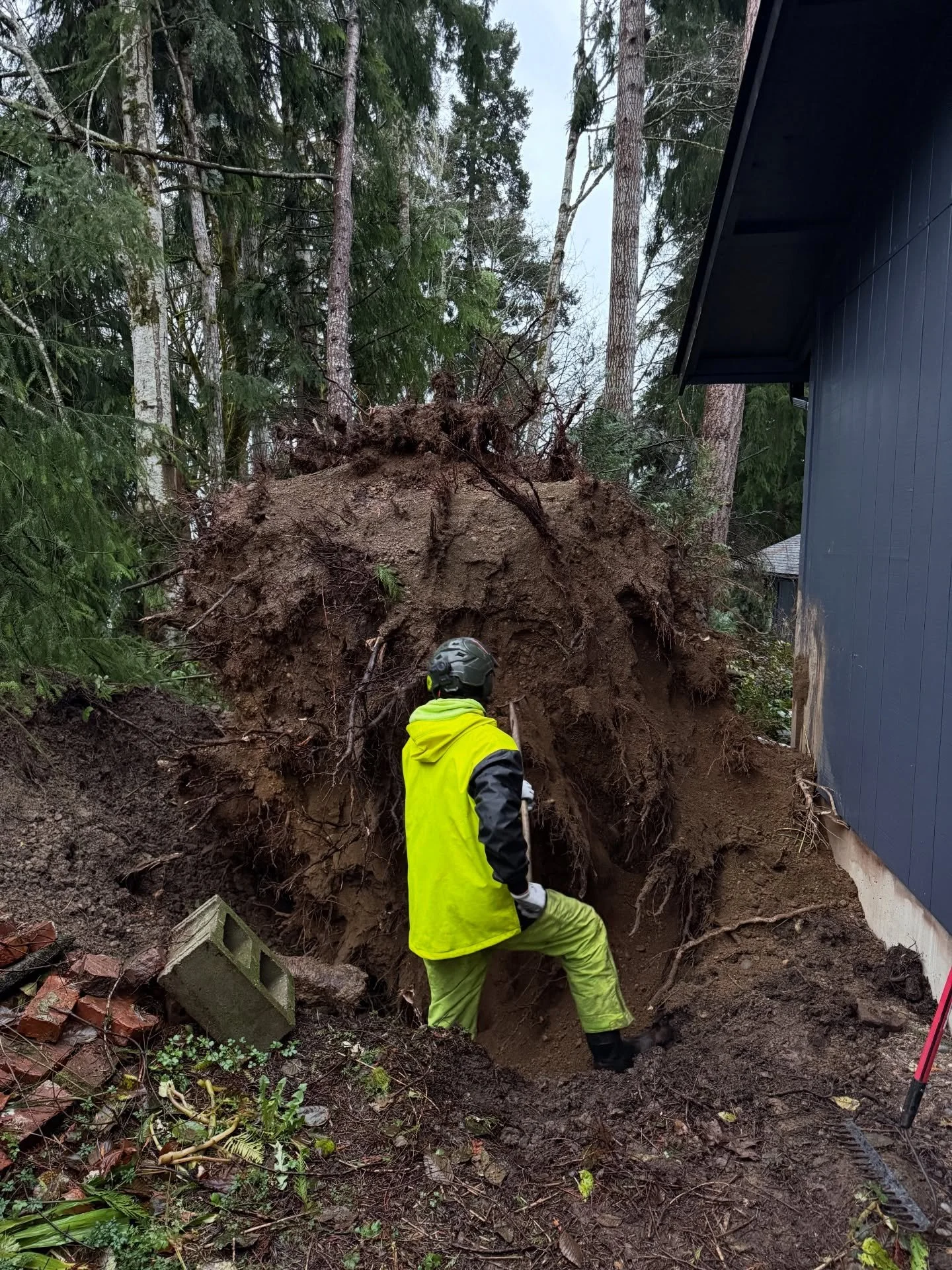 We don&rsquo;t post many pictures but this was a fun job to figure out. The Bandit - SG40 is small but mighty and impresses us all the time especially in the hard to access areas. #bandit #storm #stumpgrinding #pnw #smallbusiness