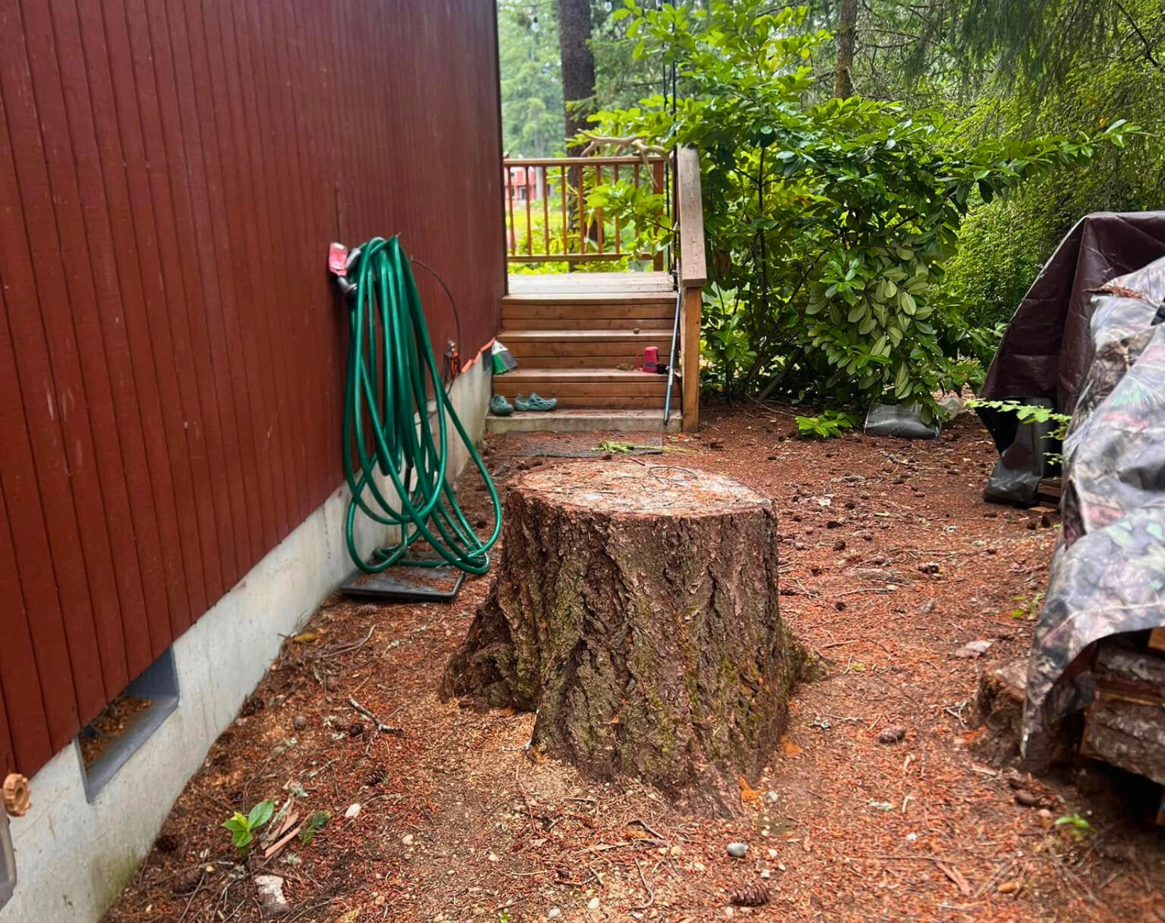 Stump Grinding Services in Pierce, Kitsap and Mason Counties
