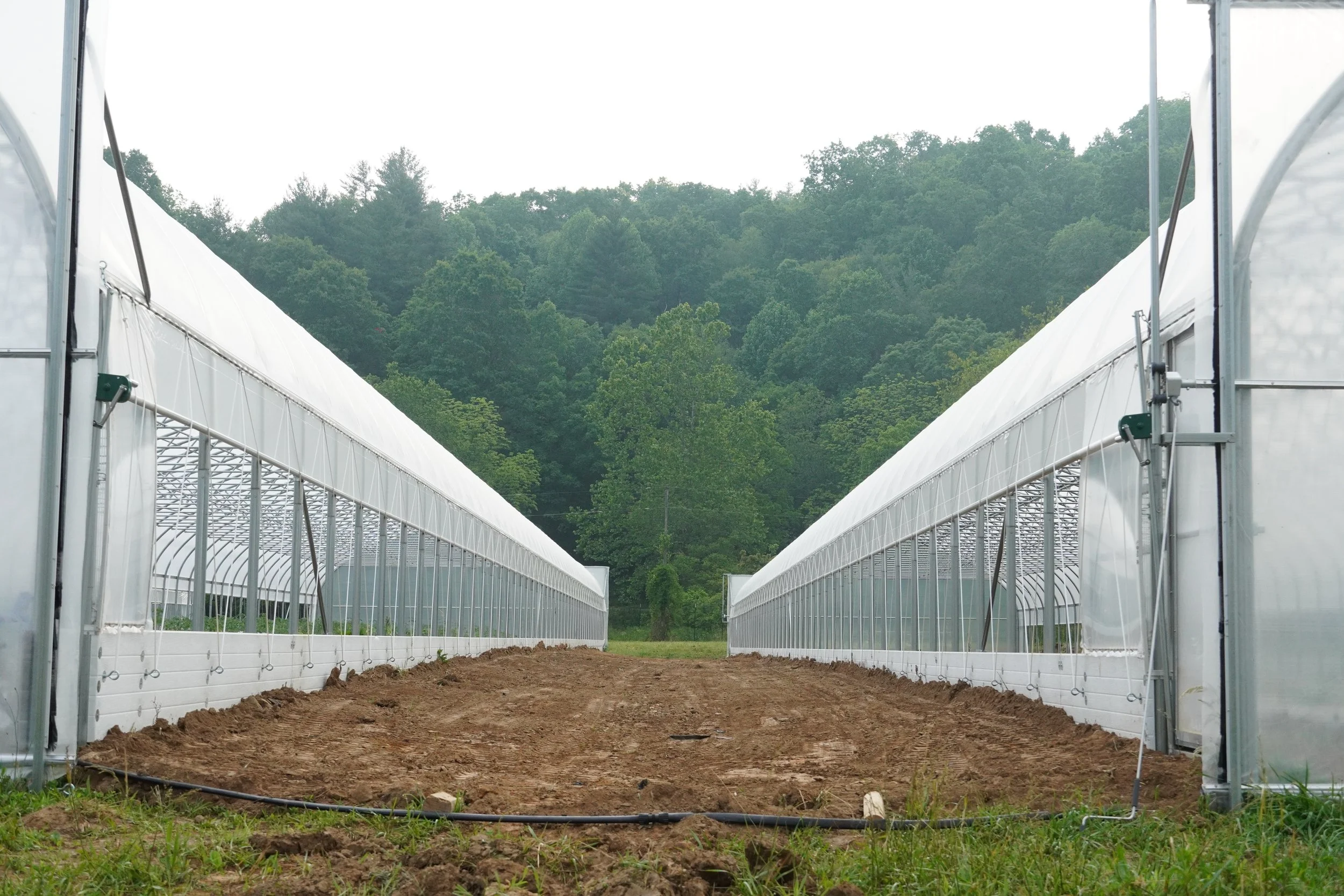Earthen Gutters for Greenhouse Alleyways