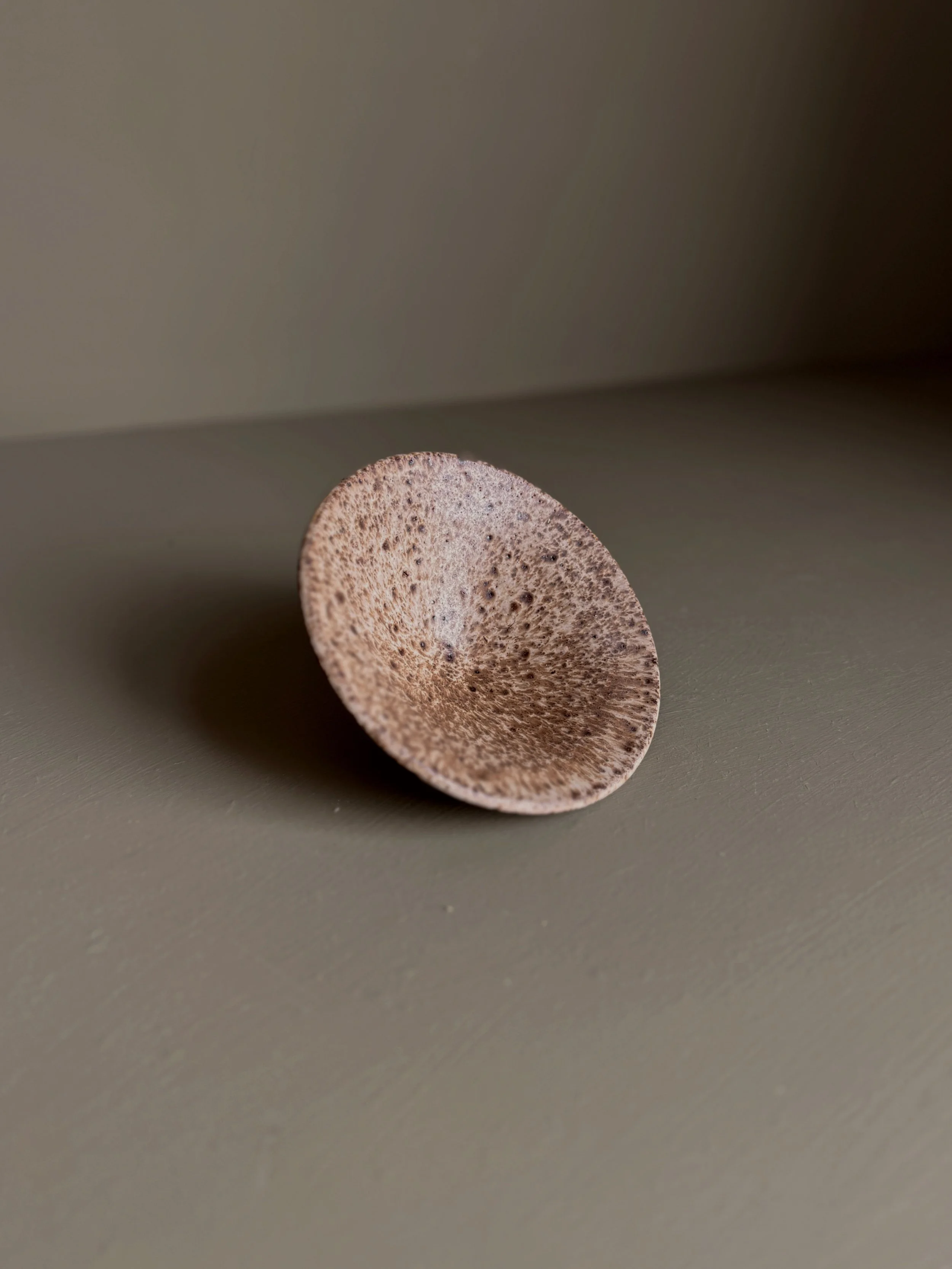 Serving dish in Salt of the Earth