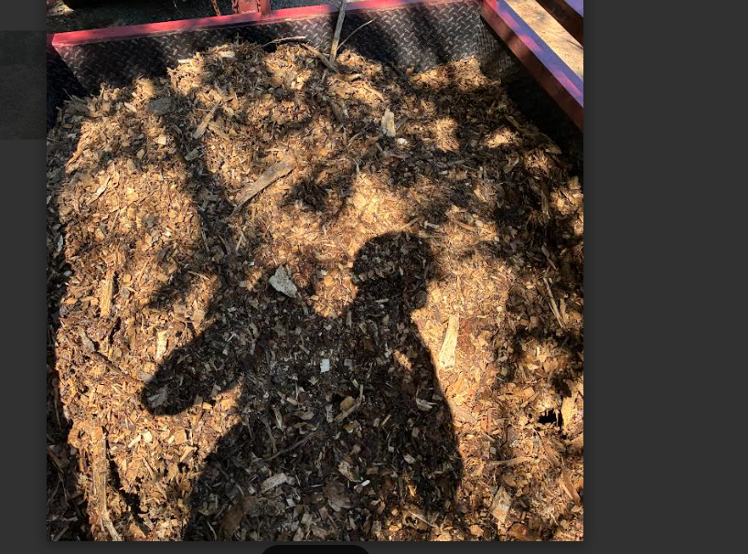 pig pen dirty woodchips