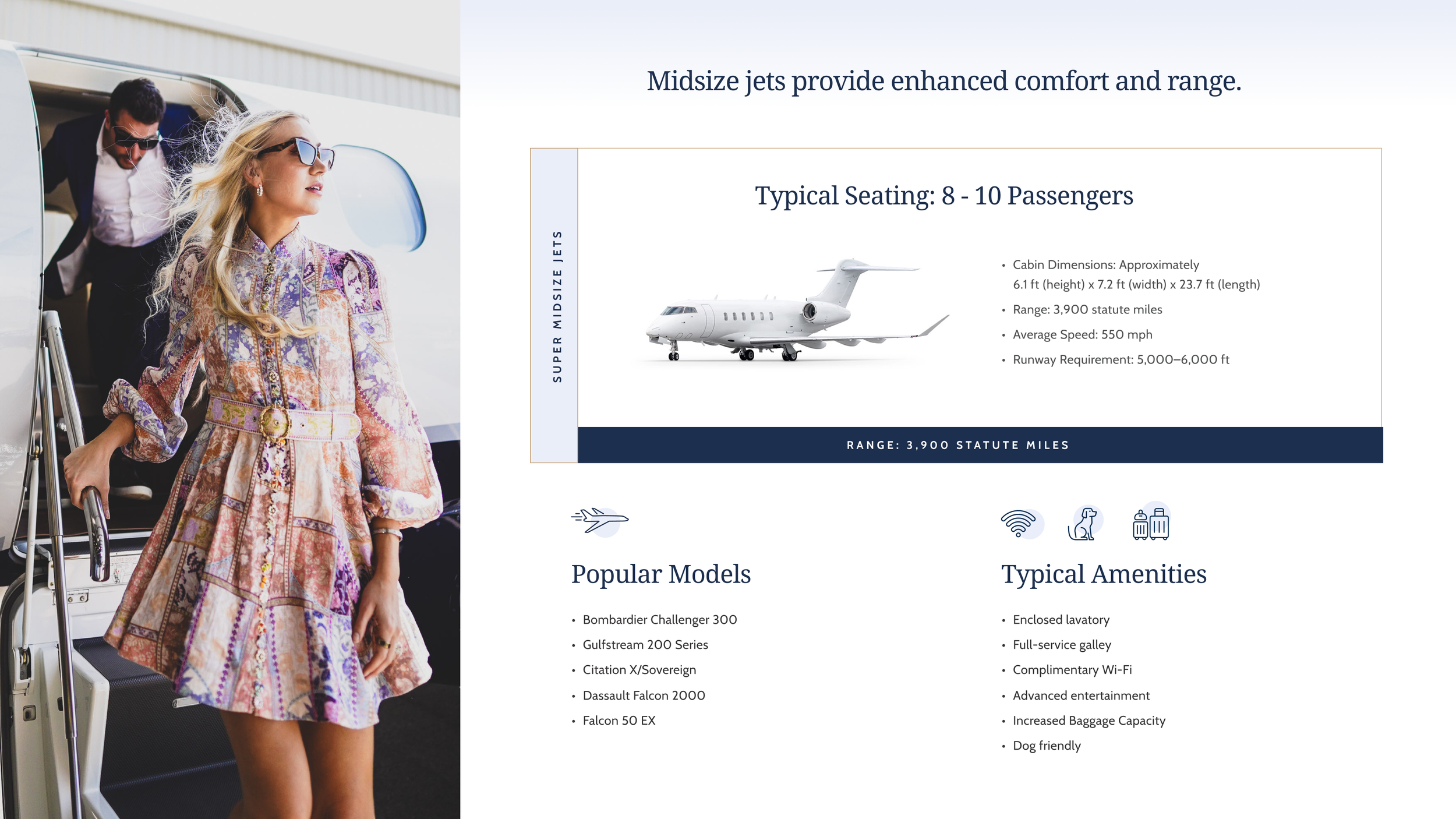 Iconic_Plane_Inofrmation (2).png