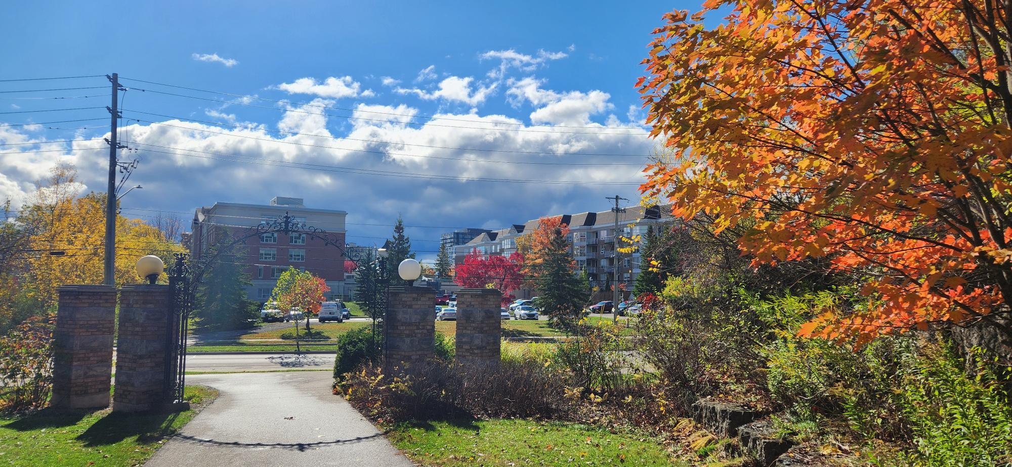 Luther Village in the Fall Waterloo Retirement Community.png