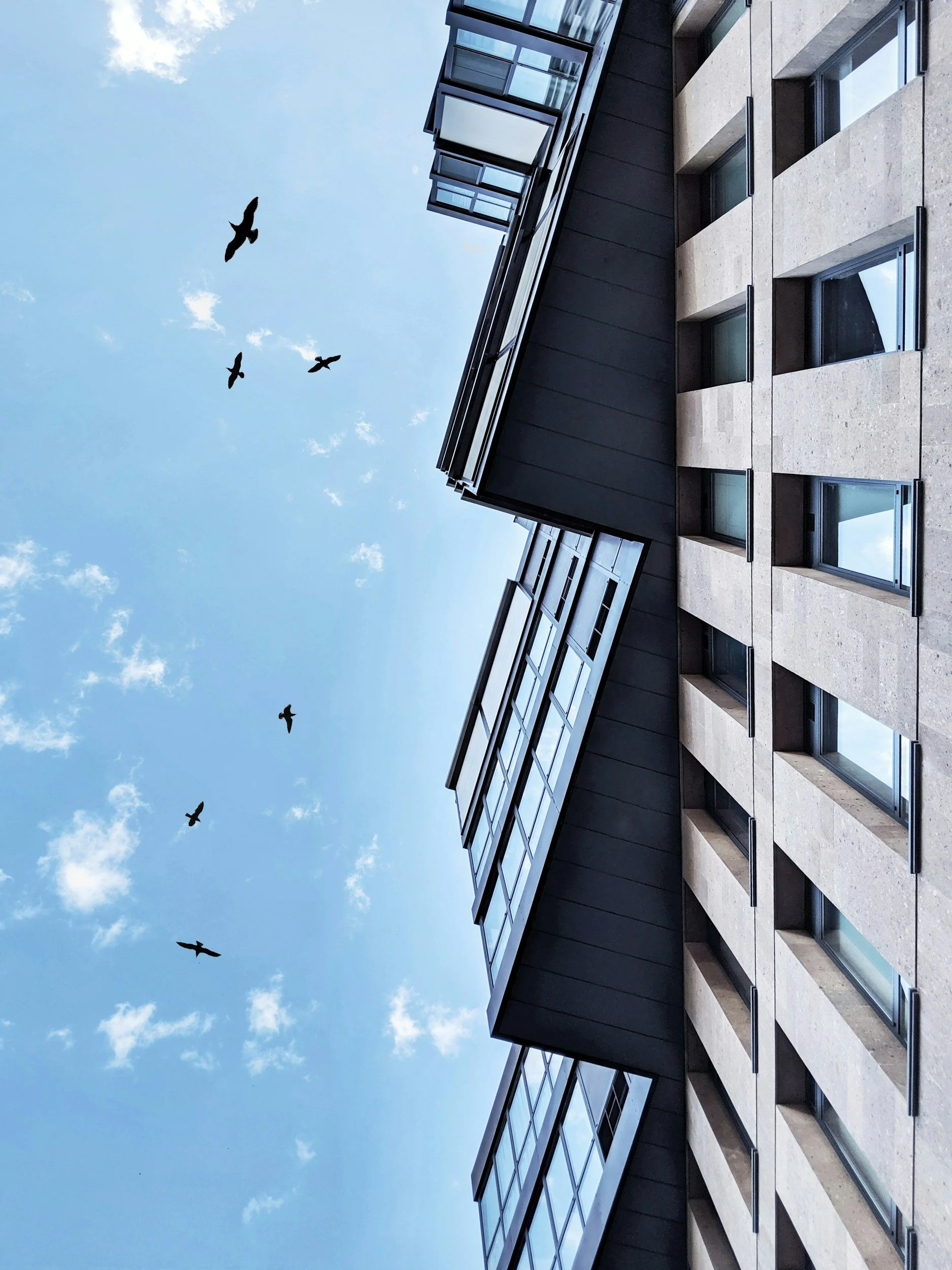Een modern appartementengebouw met meerdere ramen en zonnepanelen, gezien vanaf de onderkant met een blauwe lucht en vogels erboven. Iconic Real Estate bouwt nieuwe ontwikkelingen in Vlaanderen met oog voor architectuur en omgeving.